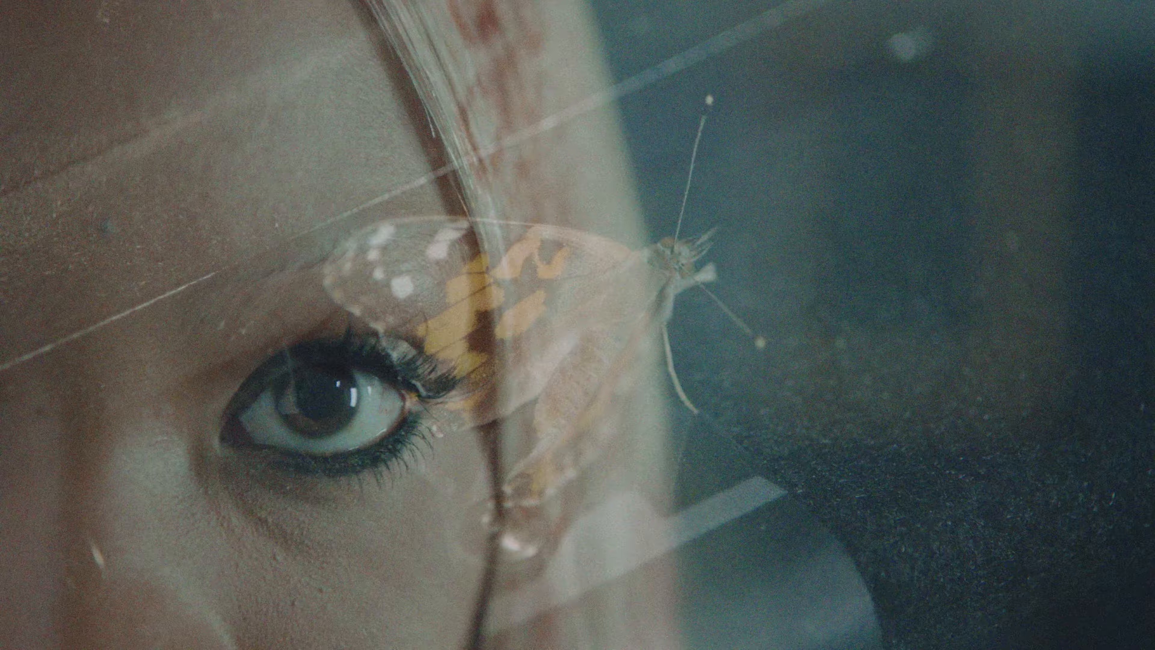 BUTTERFLY KISSES x CAN’T WIN EM ALL (2025) —  shot,  lighting