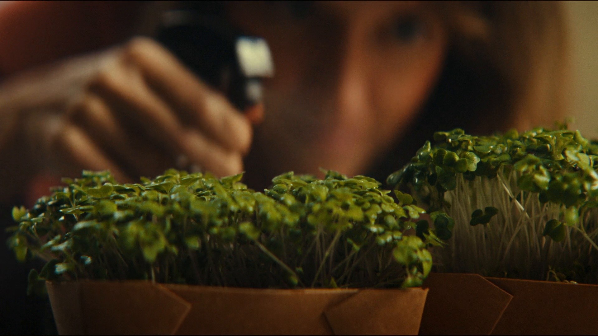 Aliments du Québec - Bye bye 2023 (2024) —  shot,  lighting