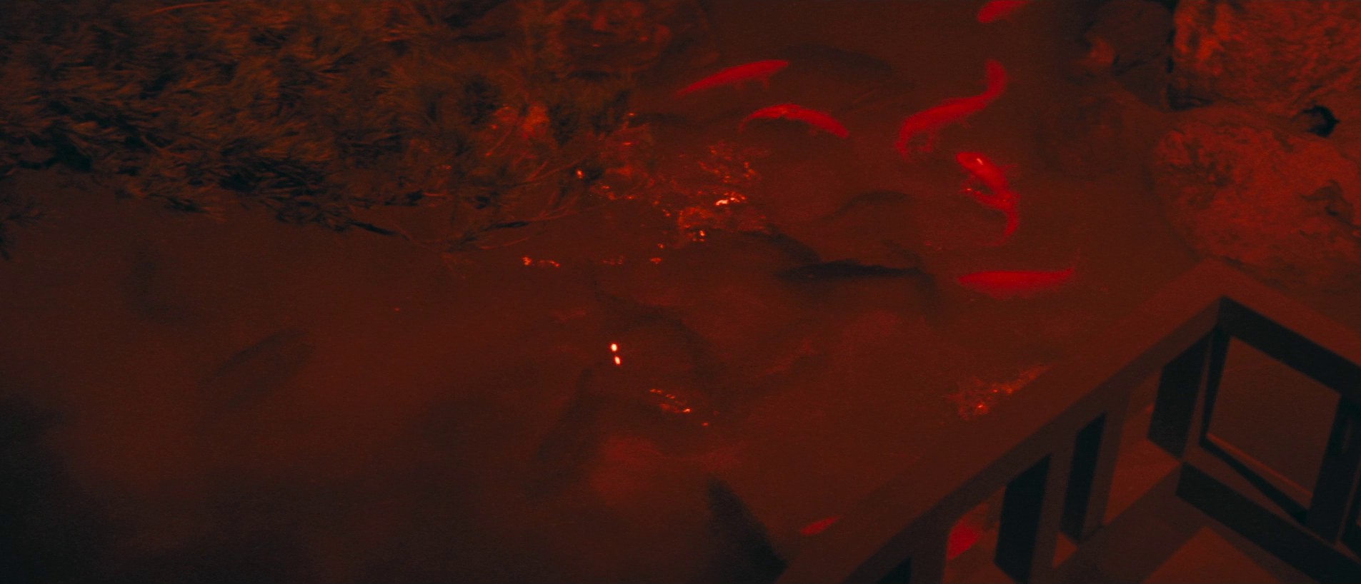 Love, Thy Name Be Sorrow (1962) —  shot,  lighting