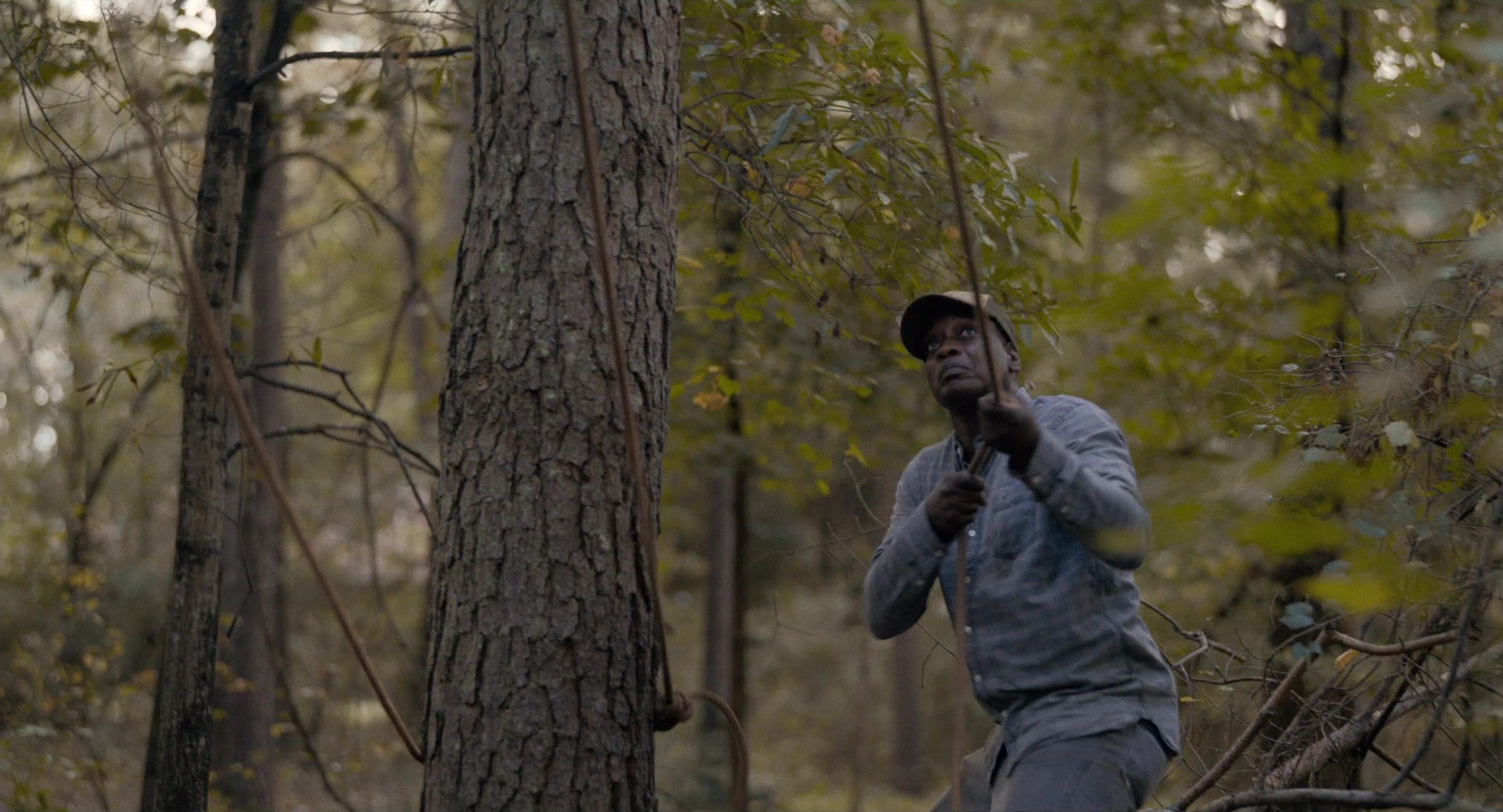 Just Mercy (2019) —  shot,  lighting