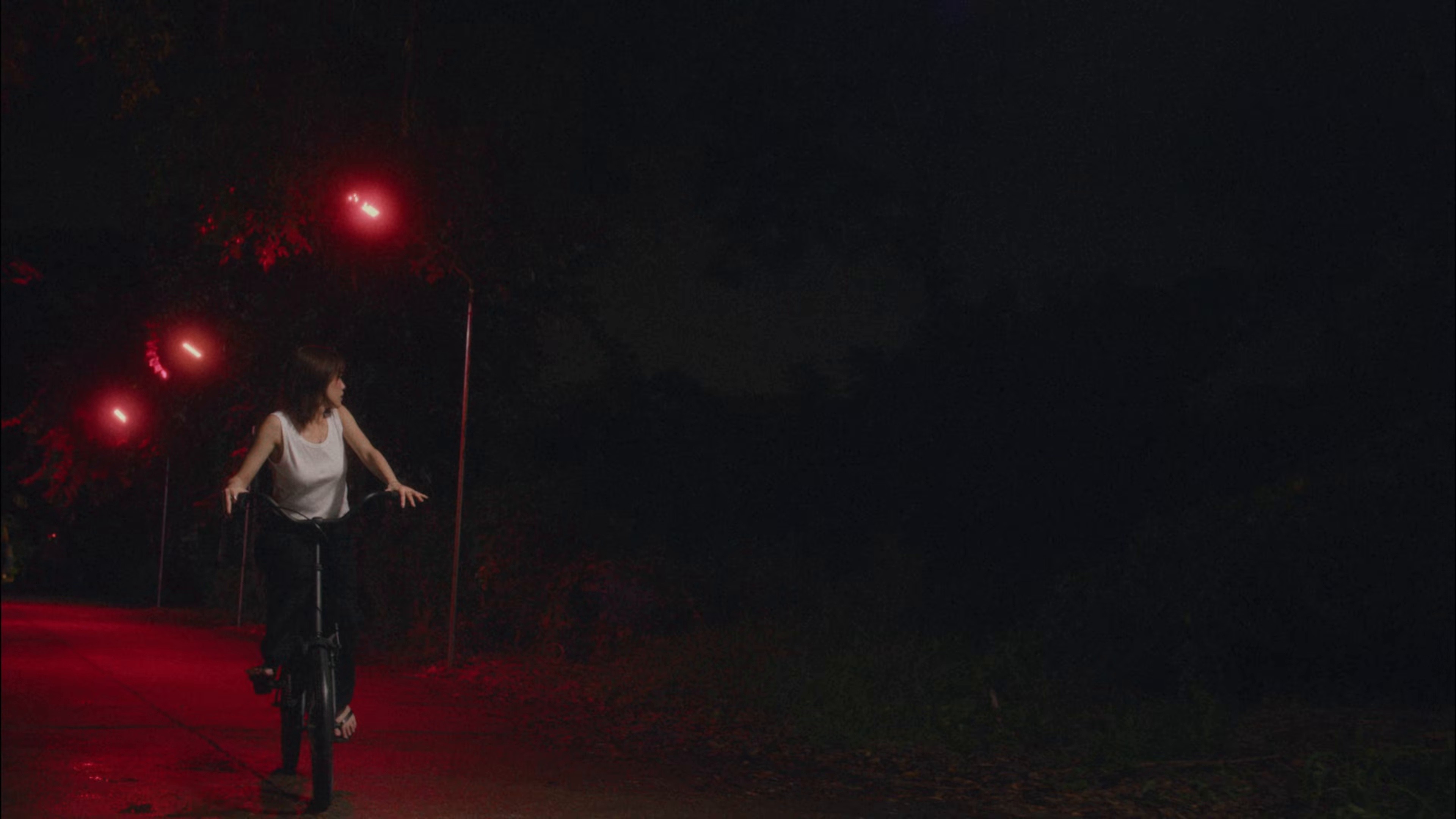 PALMY (2025) —  shot,  lighting