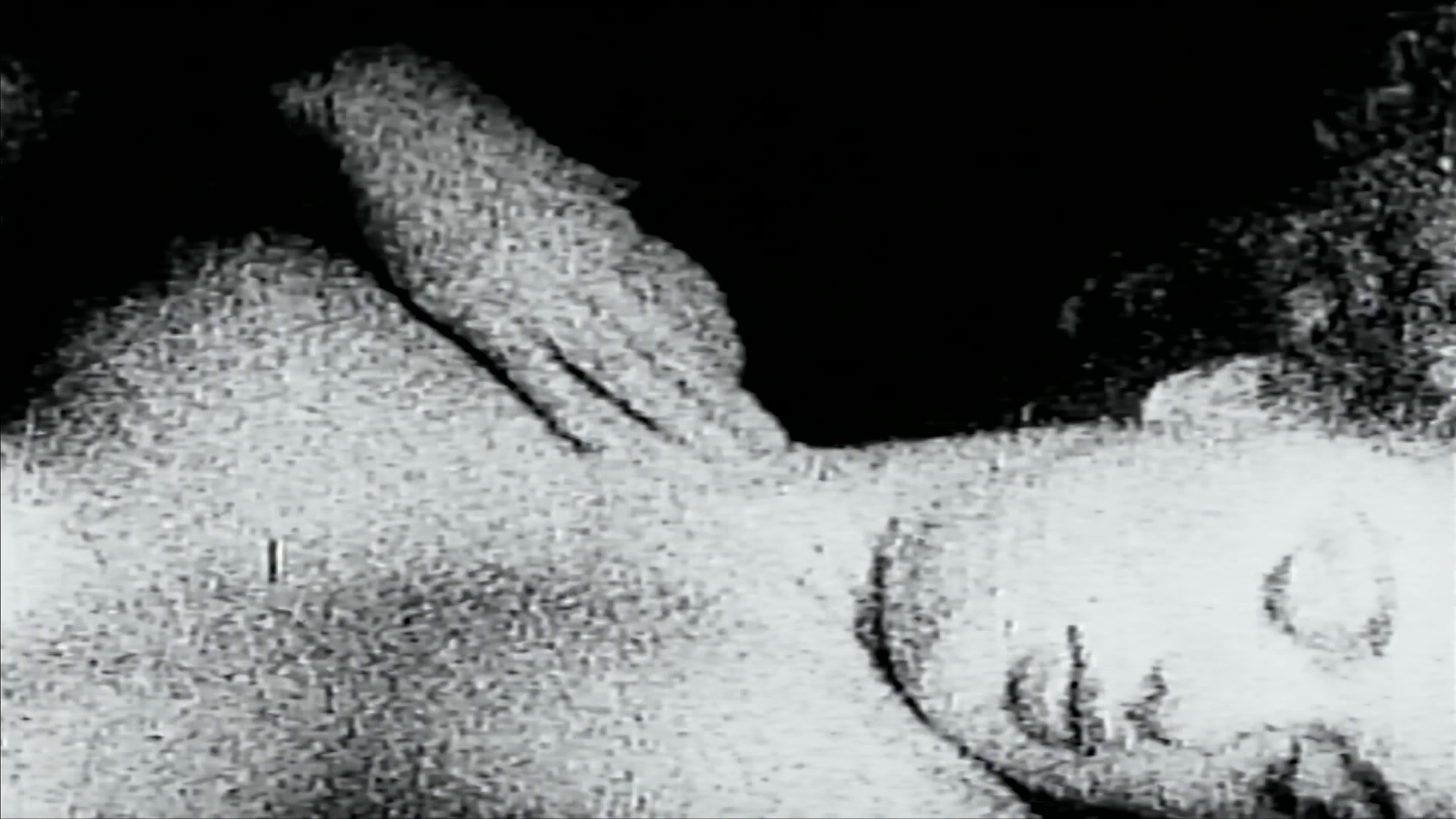 LOST MY DOG (2025) —  shot,  lighting