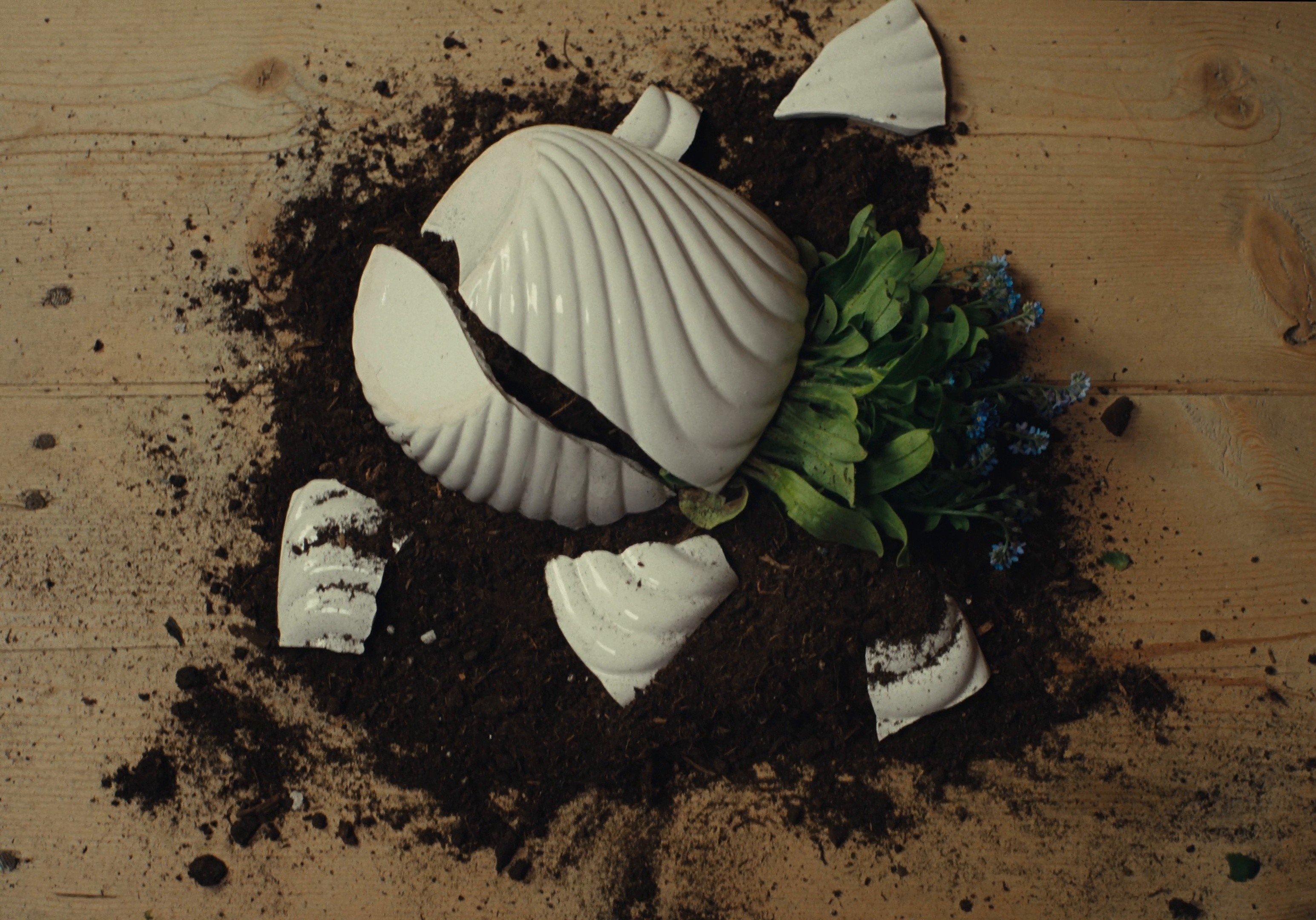 Jannik Sinner - From The Slopes To The Centre Court (2025) —  shot,  lighting