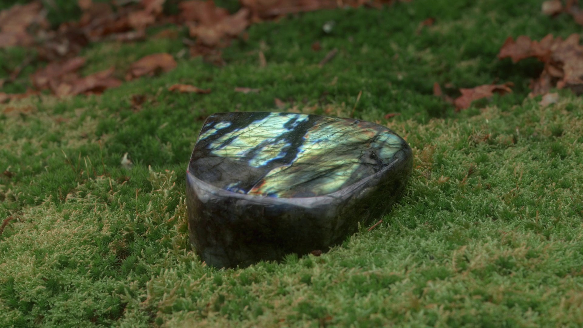 What Holds (2022) —  shot,  lighting