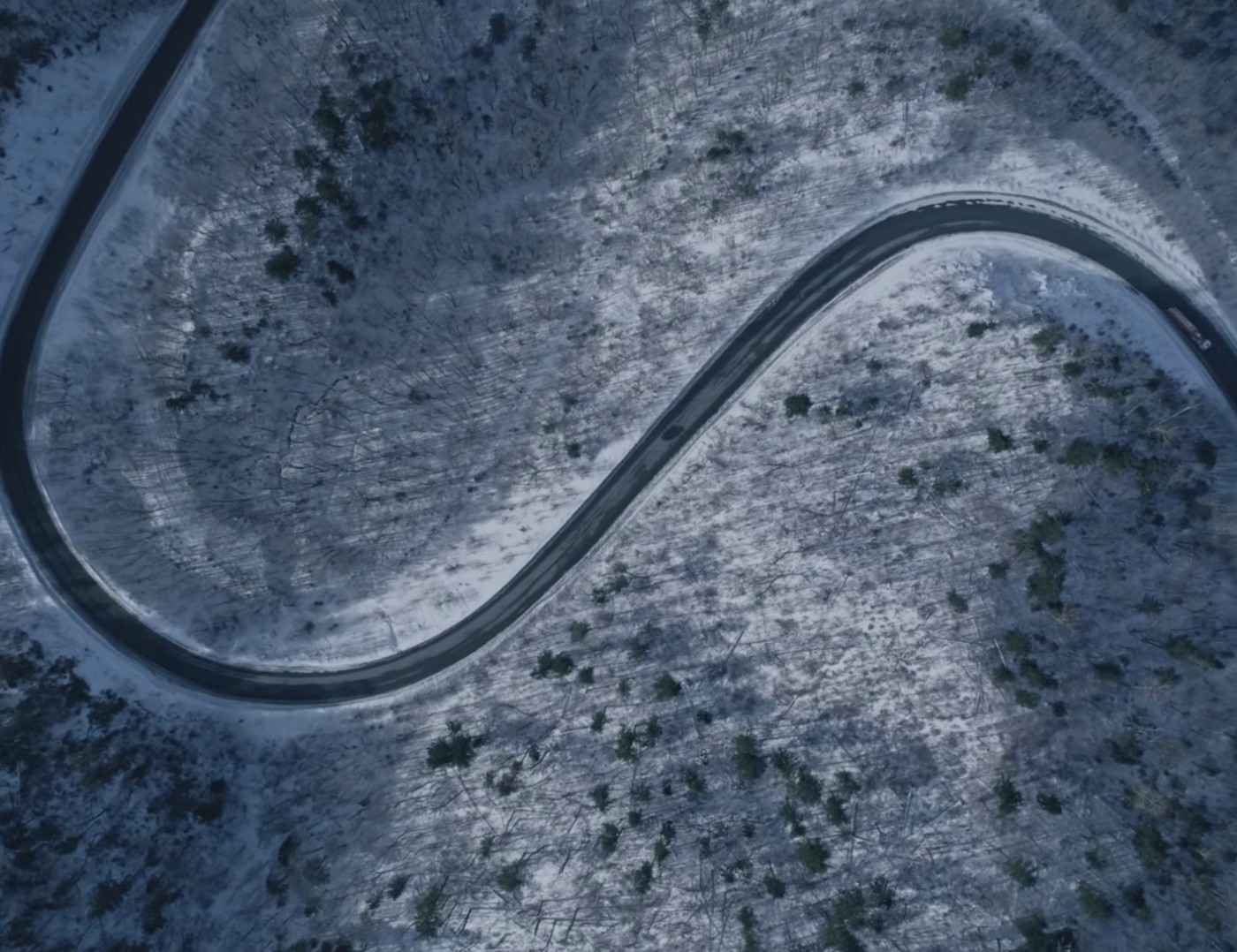 EASY PREY (2022) —  shot,  lighting