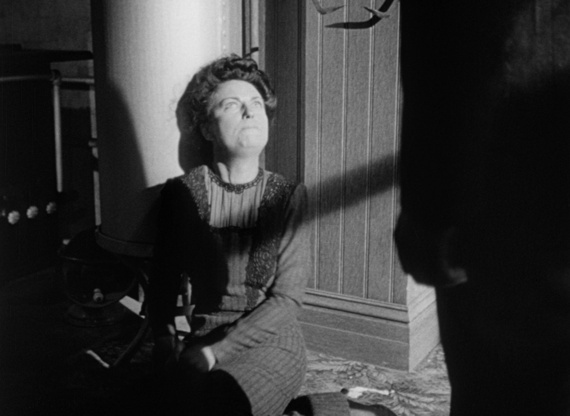 The Magnificent Ambersons (1942) —  shot,  lighting