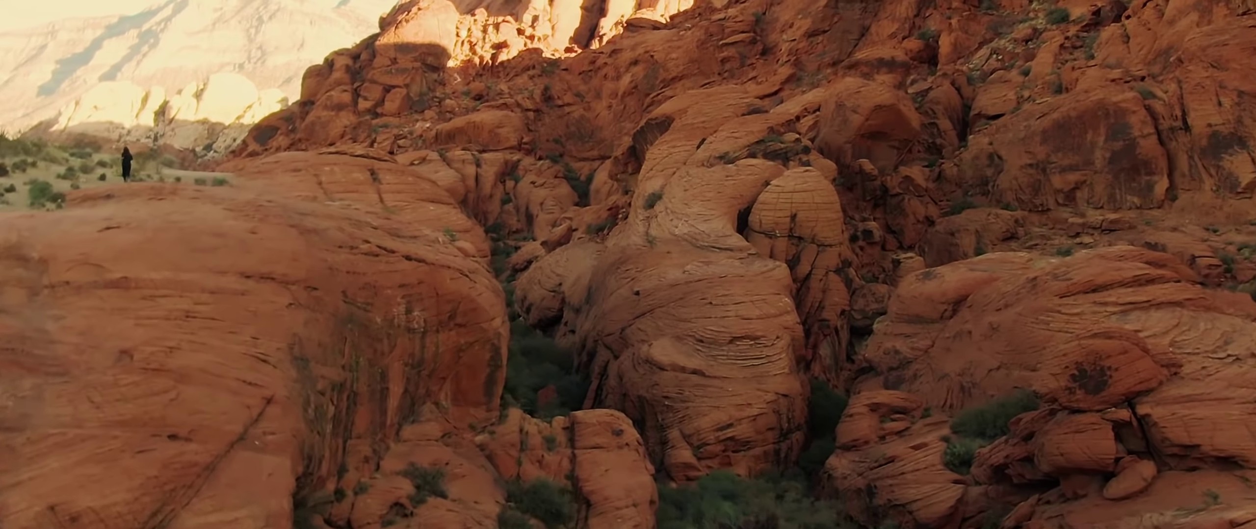 Zion (2021) —  shot,  lighting