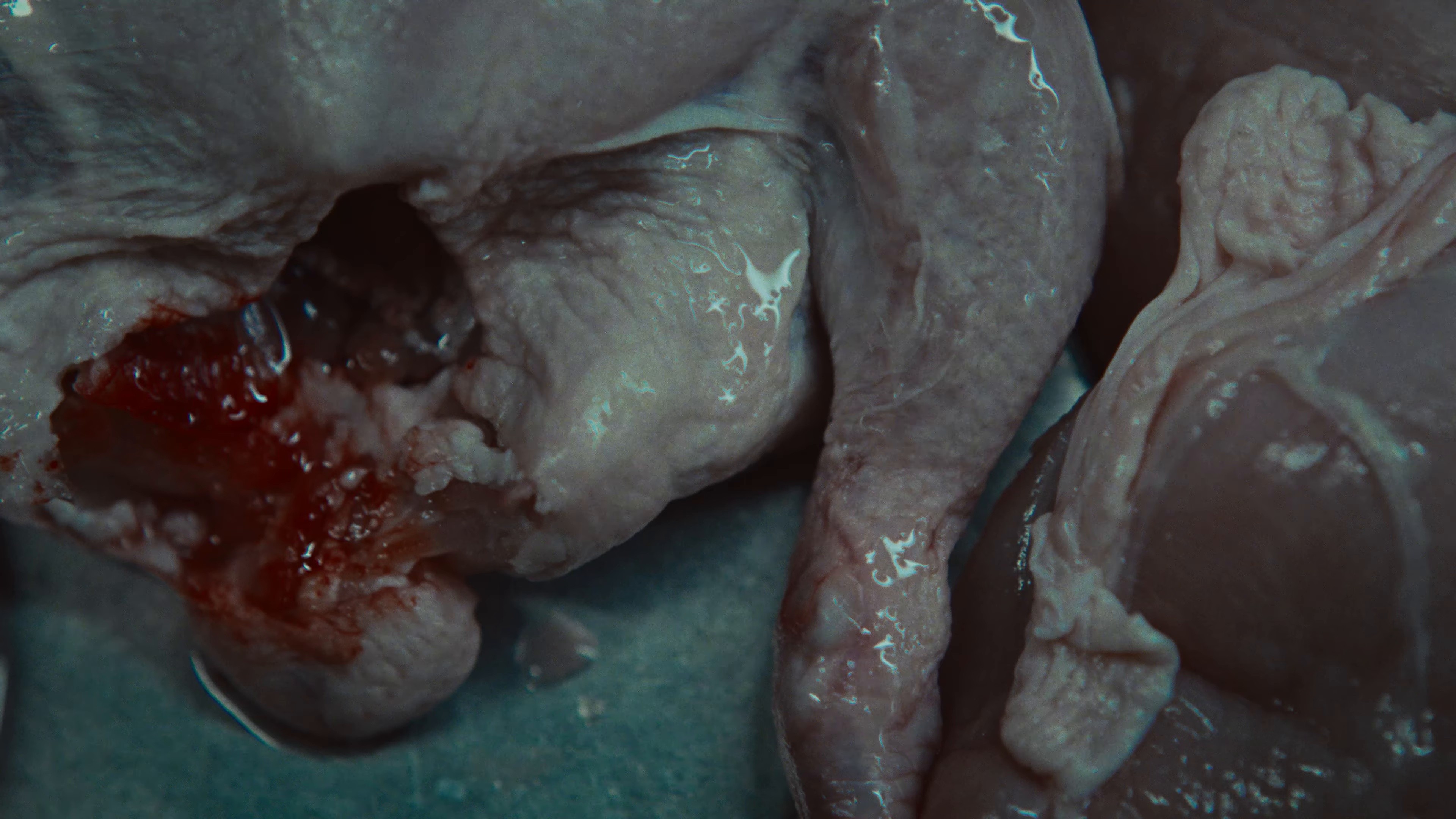 Do For Love (2026) —  shot,  lighting