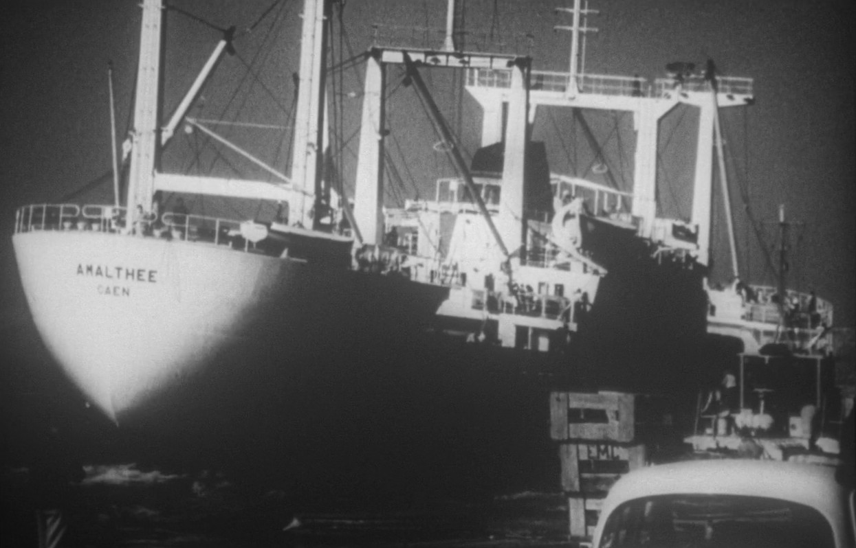 Fear City: A Family-Style Comedy (1994) —  shot,  lighting