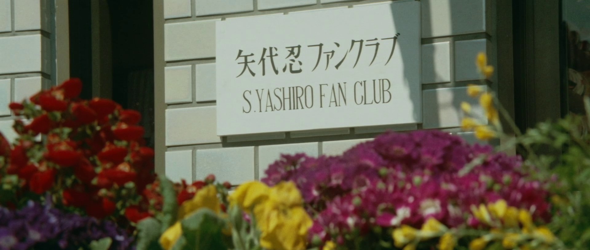 The Great Chase (1975) —  shot,  lighting