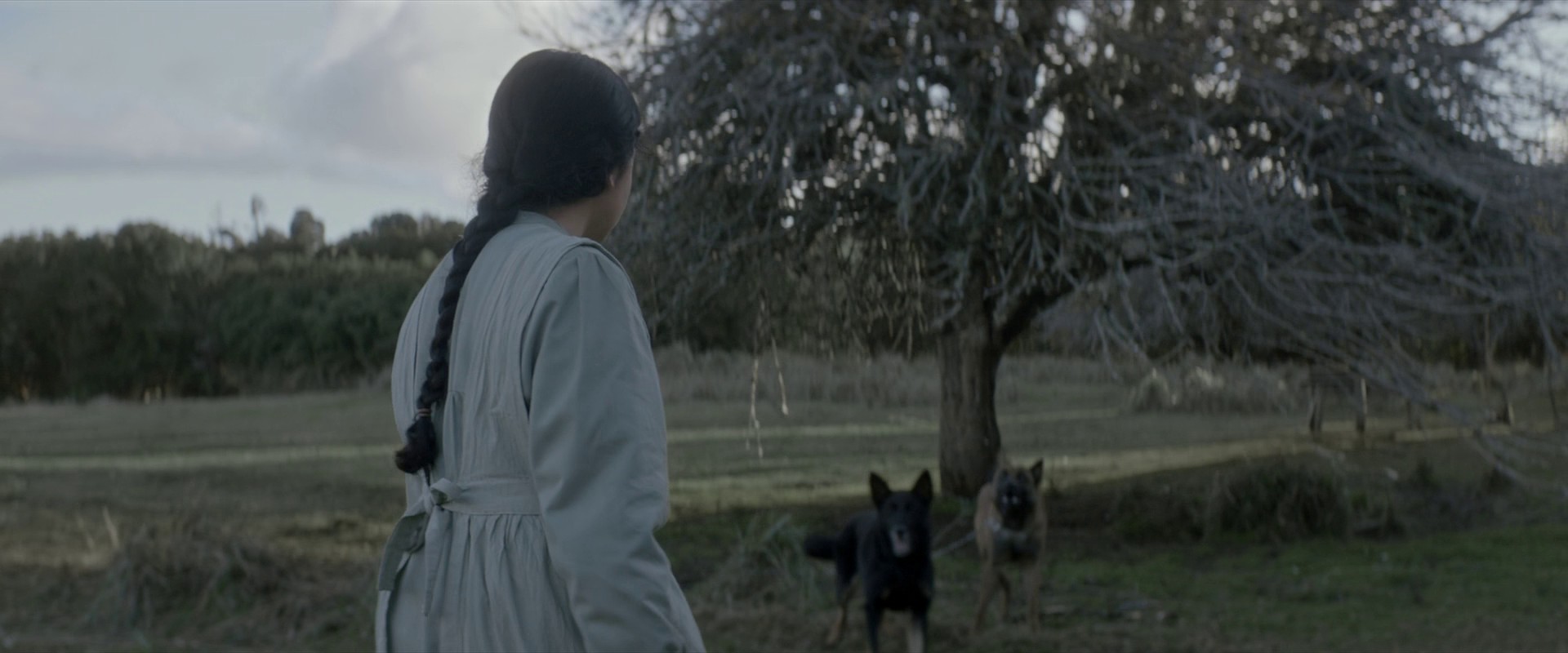 Sorcery (2023) —  shot,  lighting