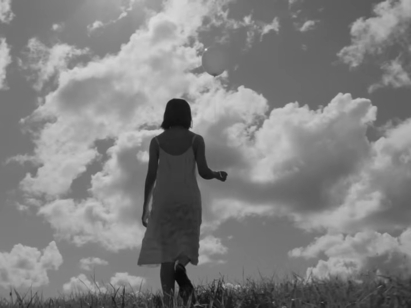 Sunlight (2025) —  shot,  lighting