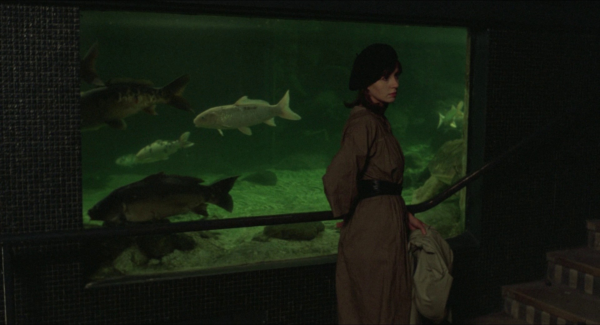 Duelle (1976) —  shot,  lighting