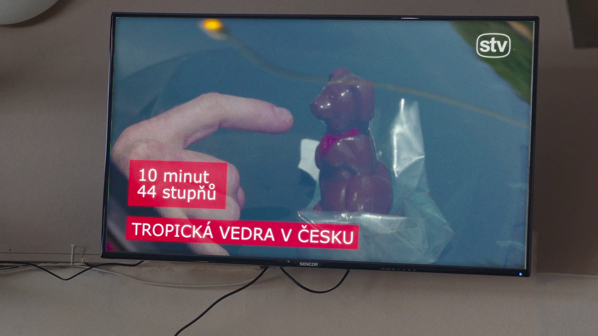 Brutal Heat (2023) —  shot,  lighting