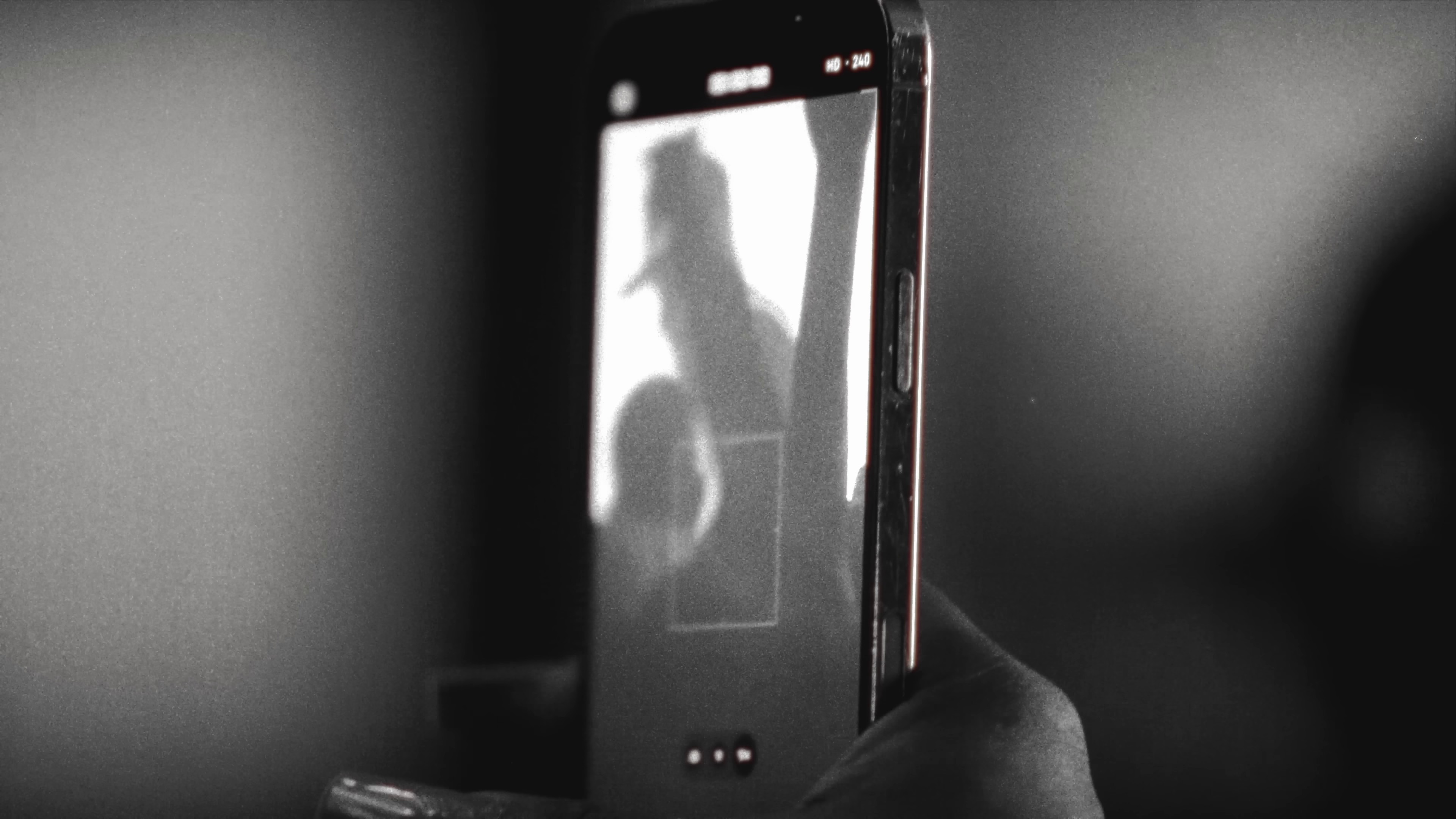 REINTRODUCTION (2024) —  shot,  lighting