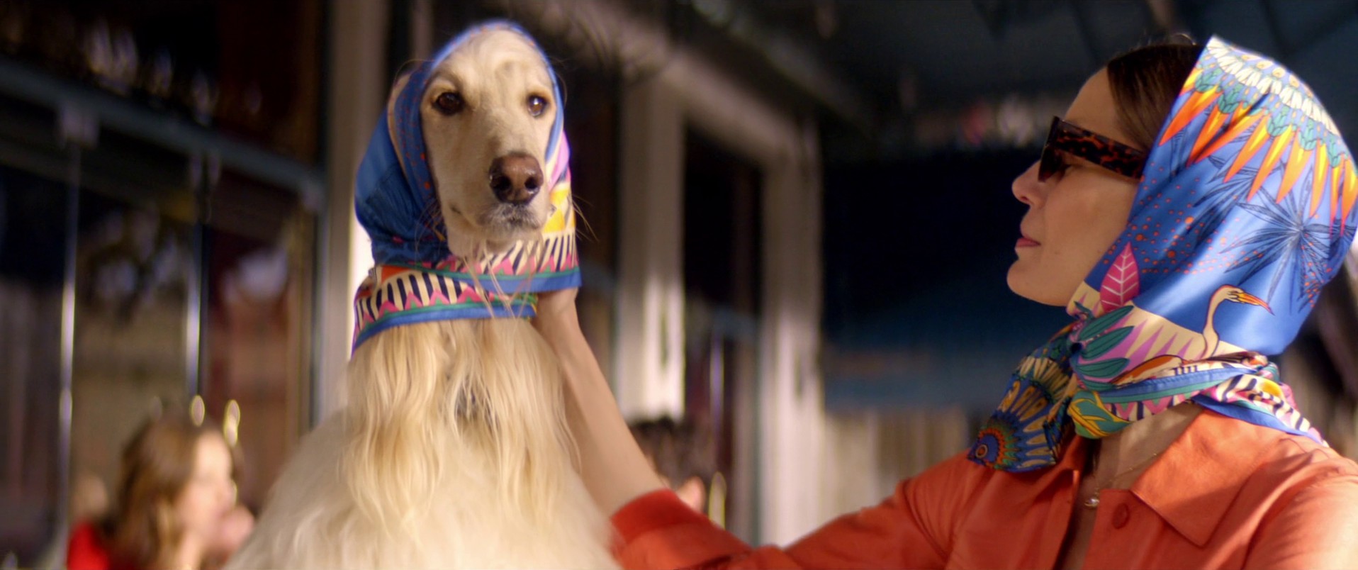 PERRIER VU EN TERRASSE (FRANCE - 2024) (2024) —  shot,  lighting