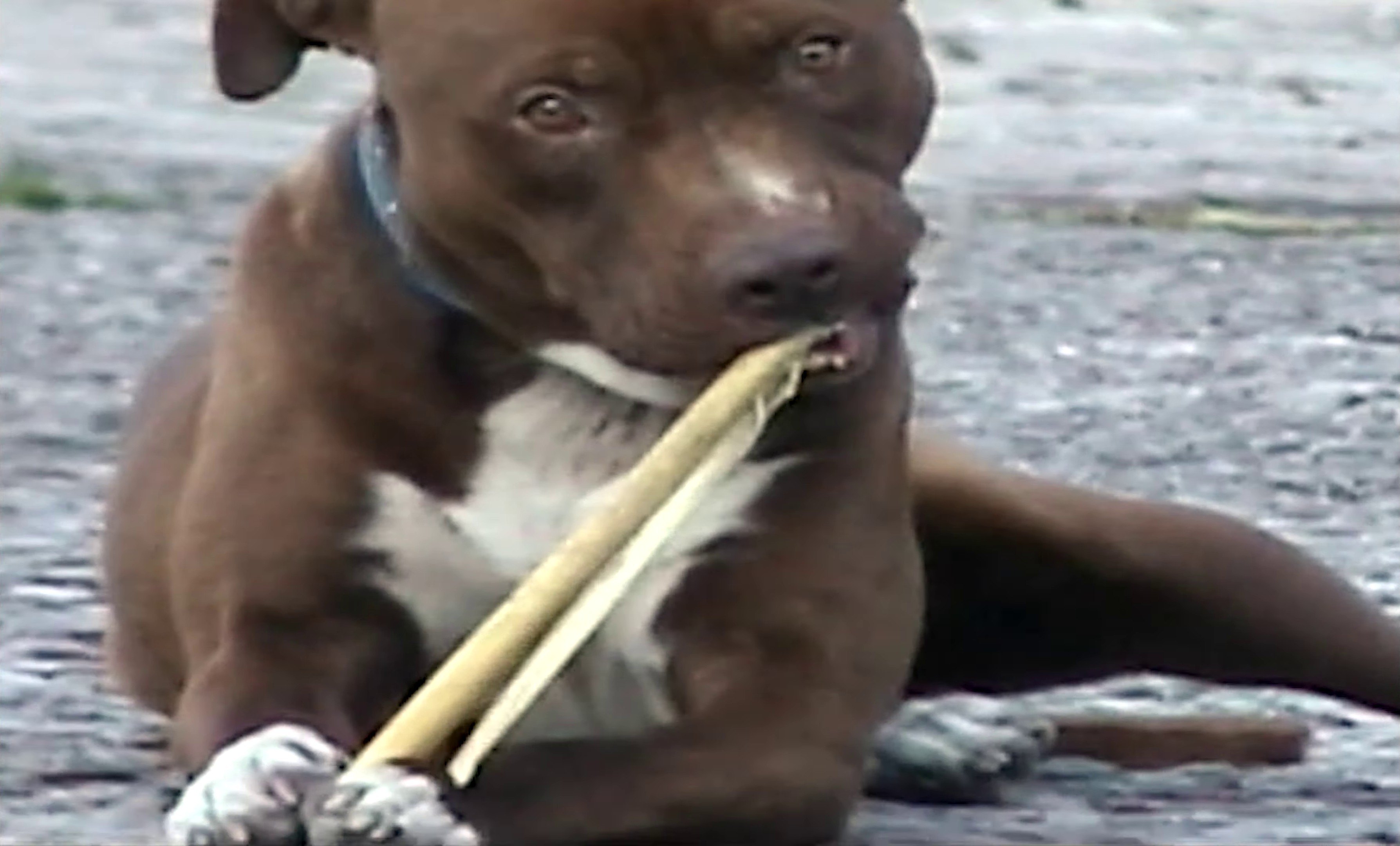 New Lyfe (2024) —  shot,  lighting