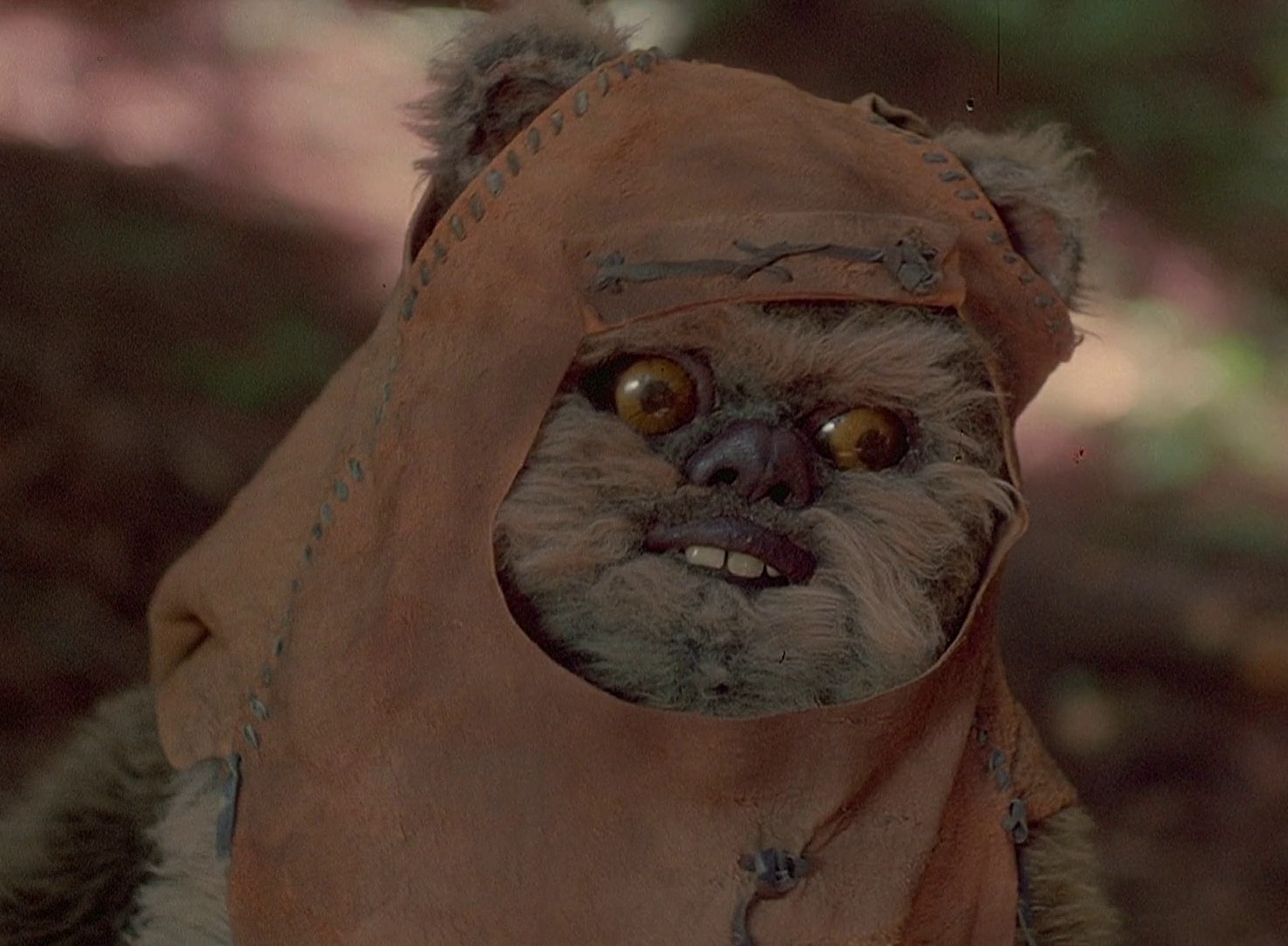 Ewoks: The Battle for Endor (1985) —  shot,  lighting