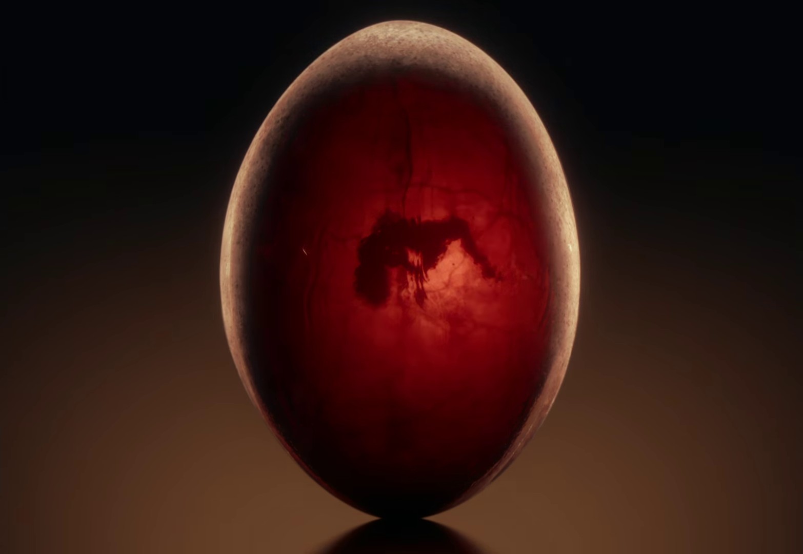 HISS (2024) —  shot,  lighting