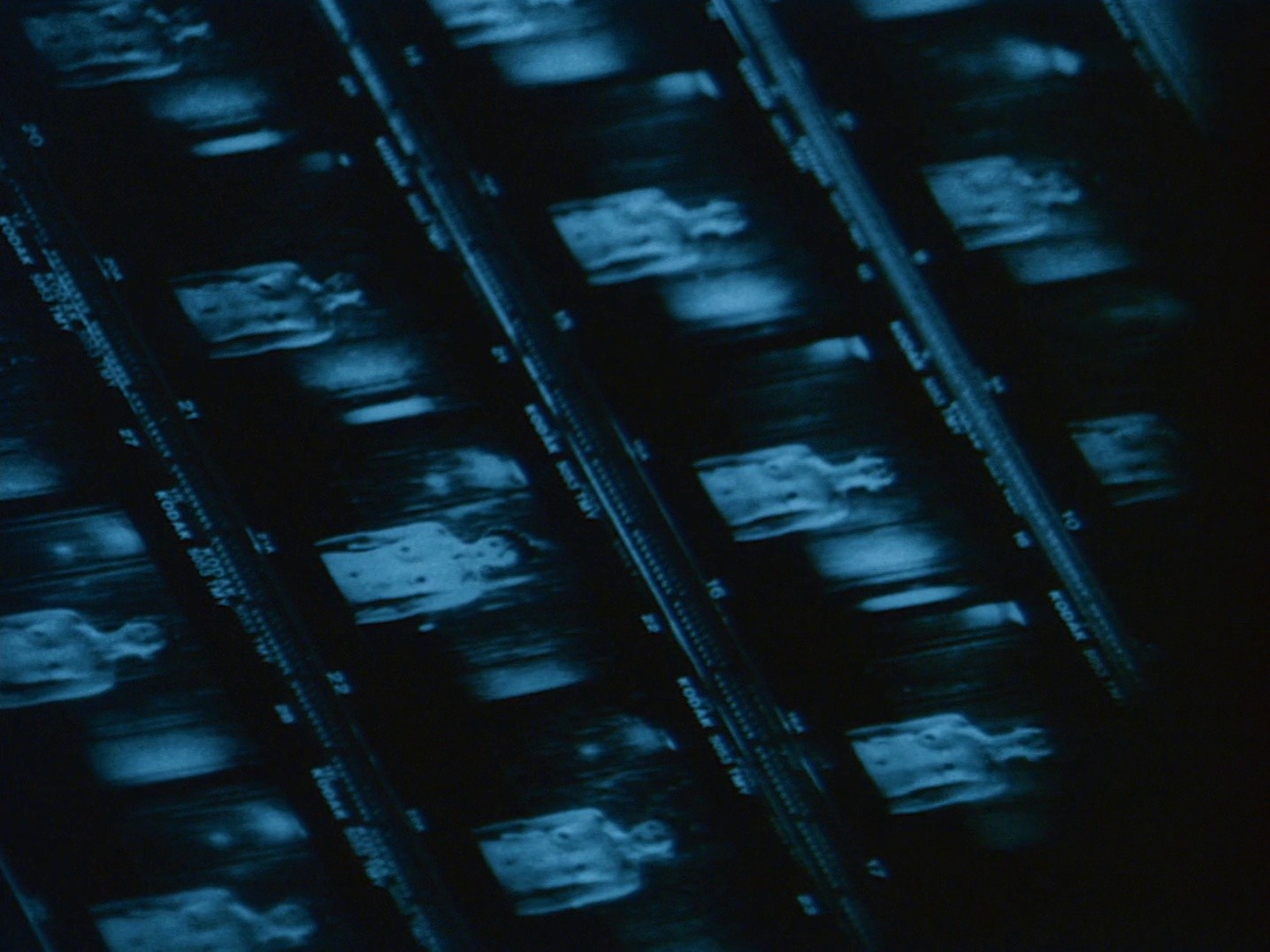 A Snake of June (2003) —  shot,  lighting