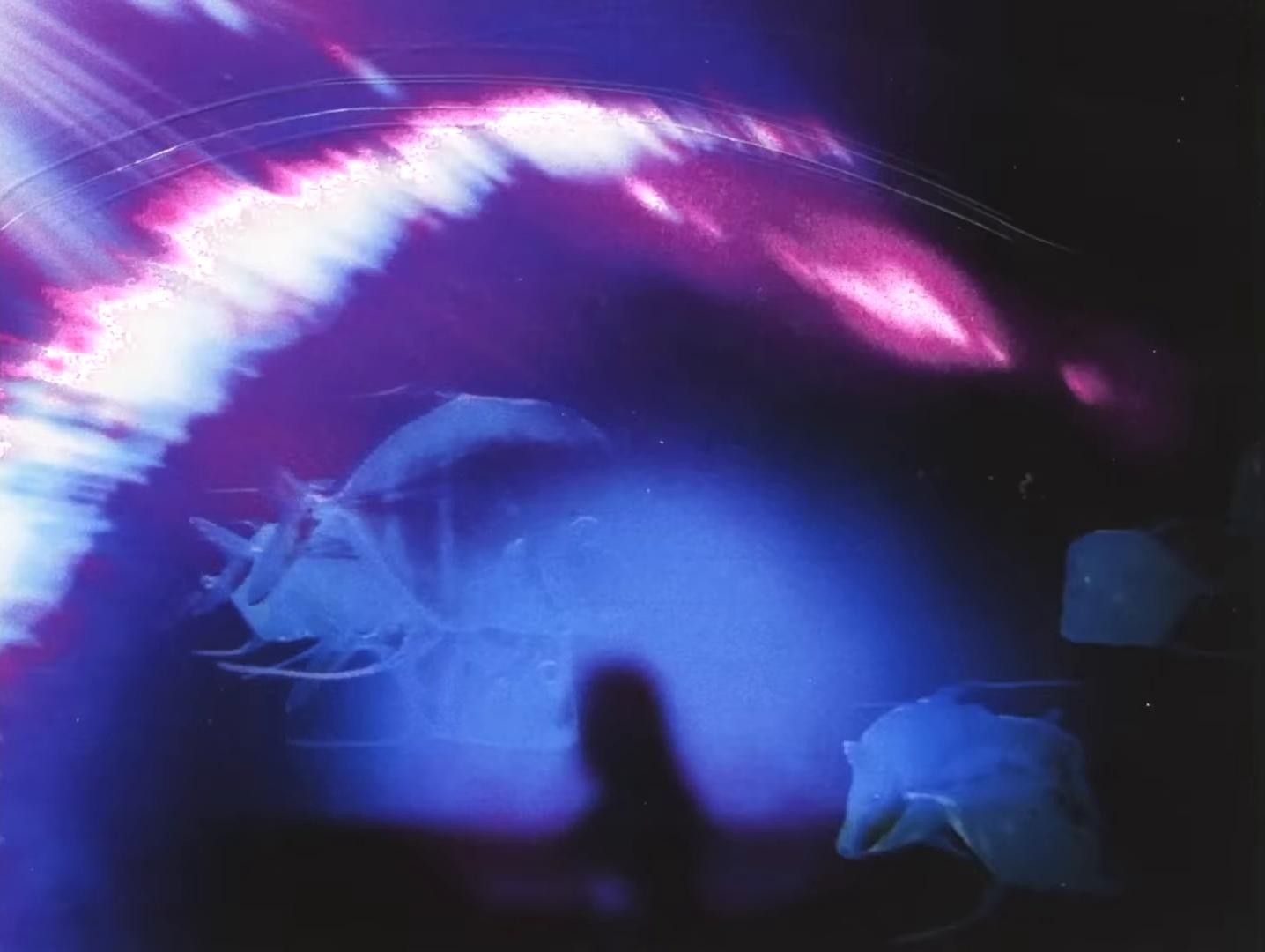 Lost In the Ocean (2024) —  shot,  lighting