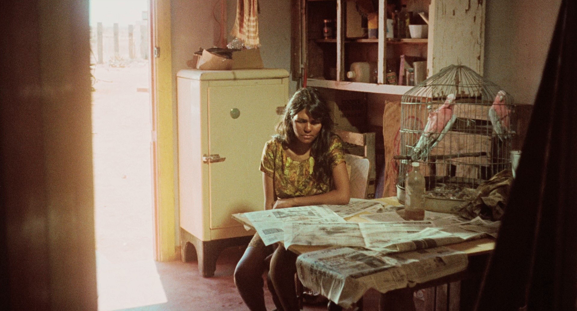 Wake in Fright (1971) —  shot,  lighting