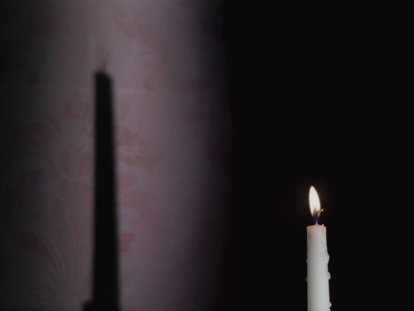 Noises + JT (2025) —  shot,  lighting