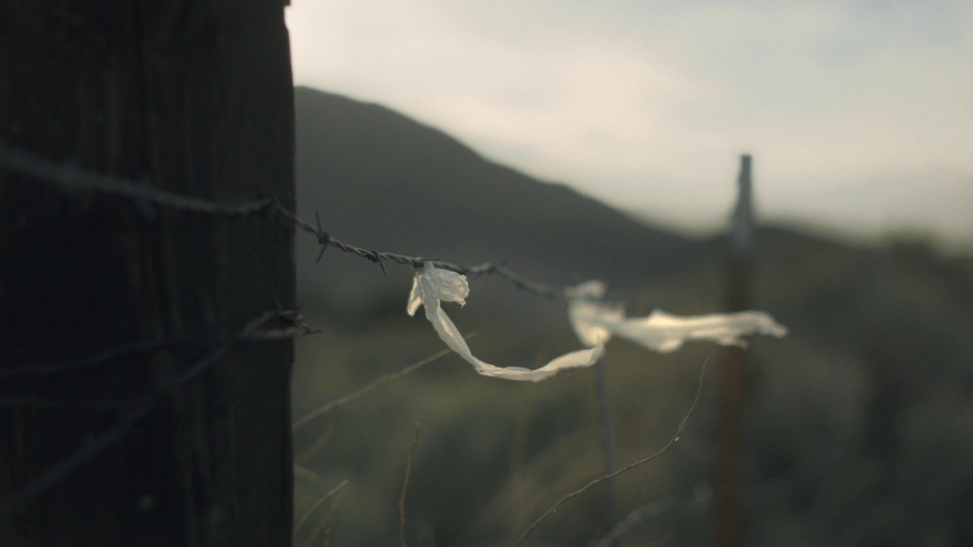 Neuroplasticity (2015) —  shot,  lighting