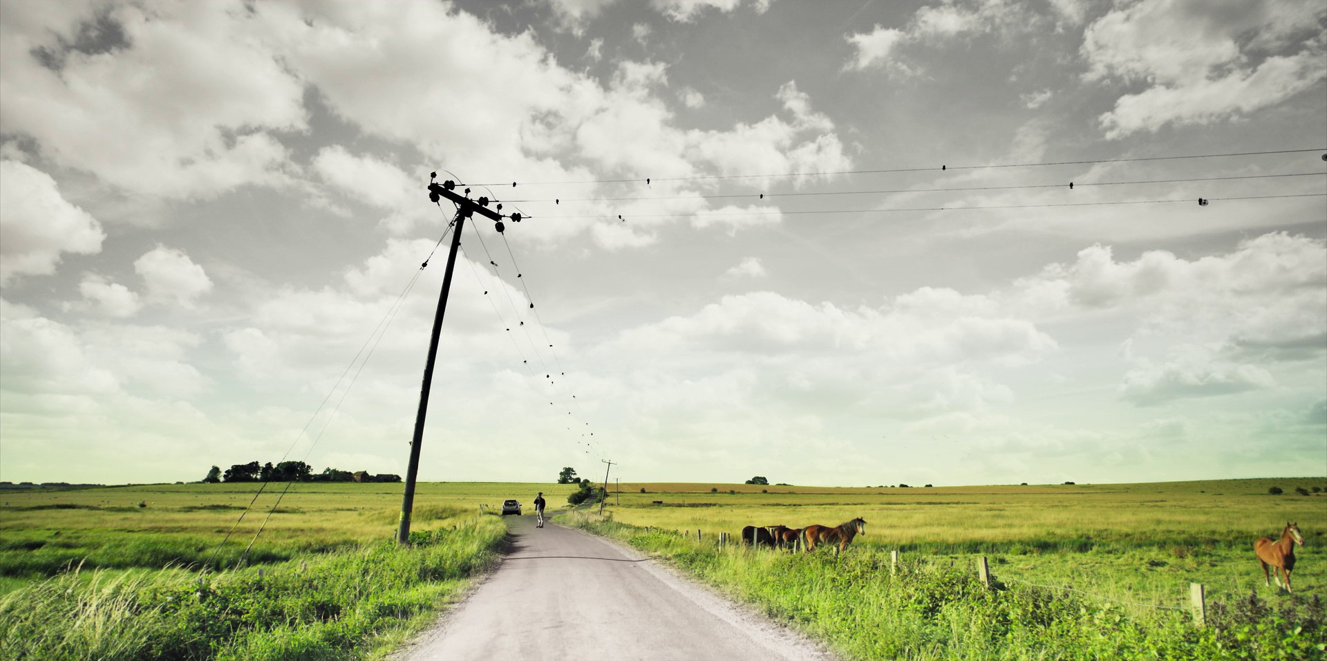 Friday - The Father (2020) —  shot,  lighting