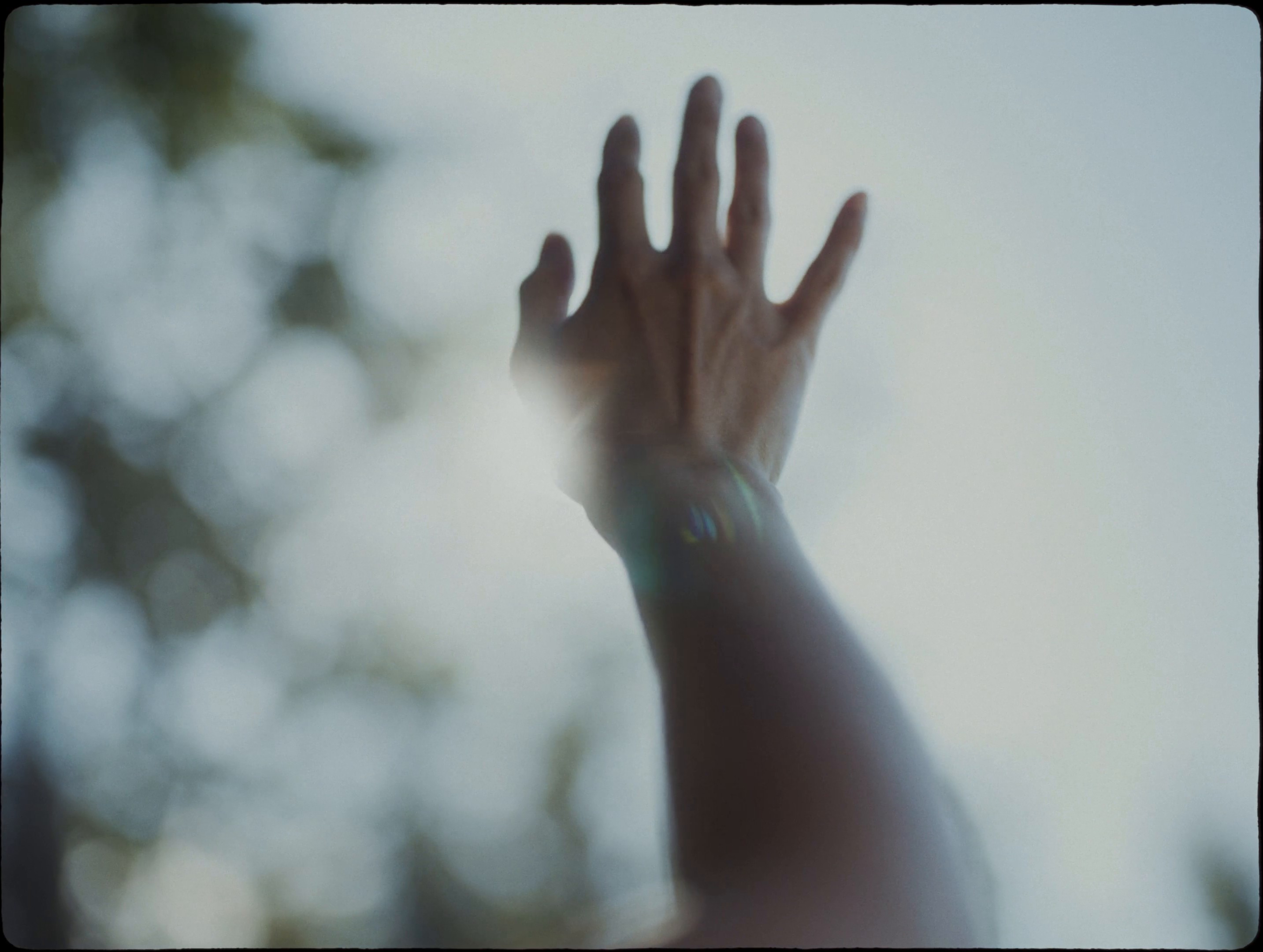 Tourism Whistler - 2024 - Directors Cut (2024) —  shot,  lighting