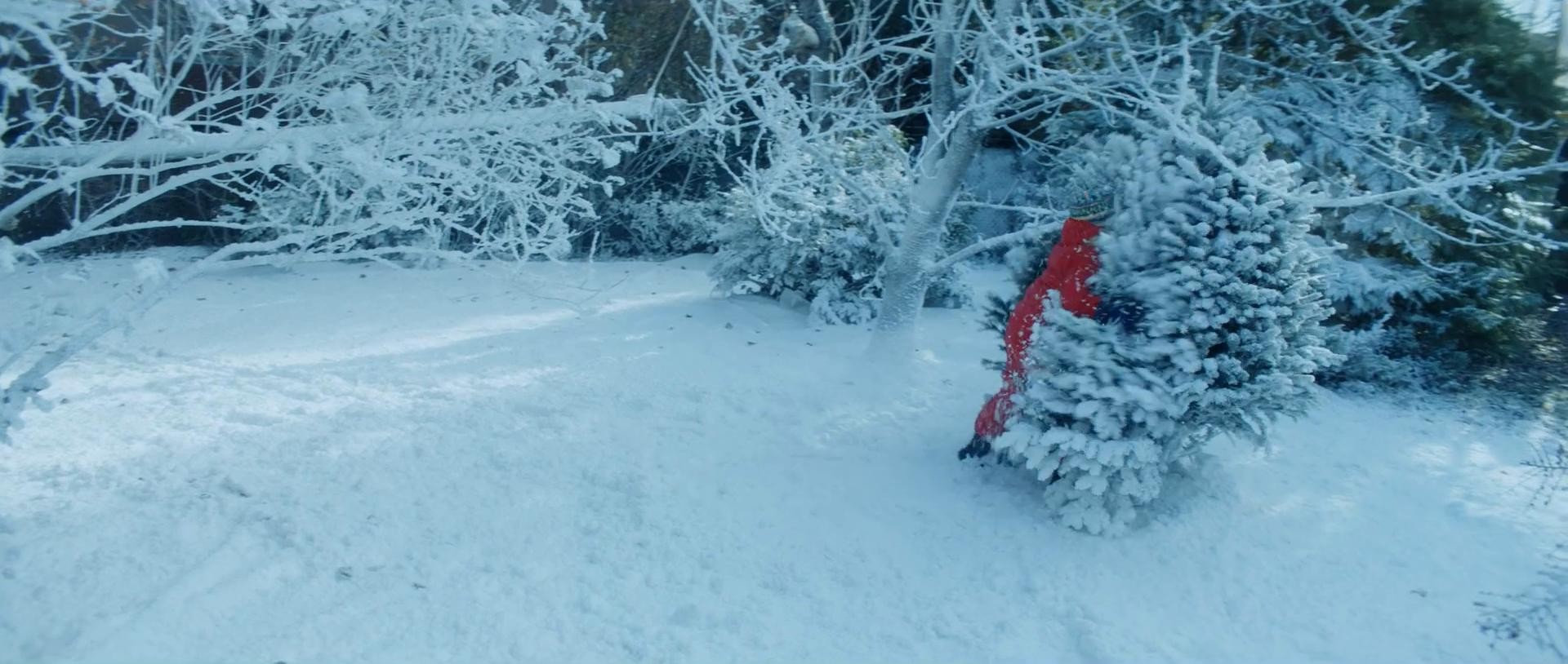 7-The POV.emmi-karacsony (2019) —  shot,  lighting