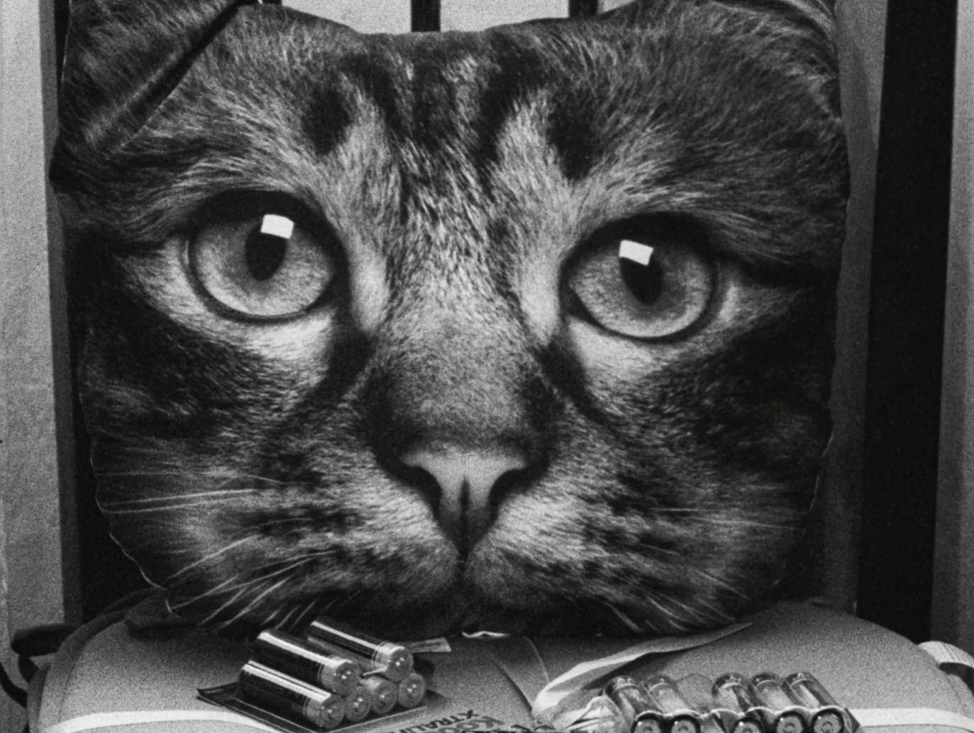 Do Not Expect Too Much from the End of the World (2024) —  shot,  lighting