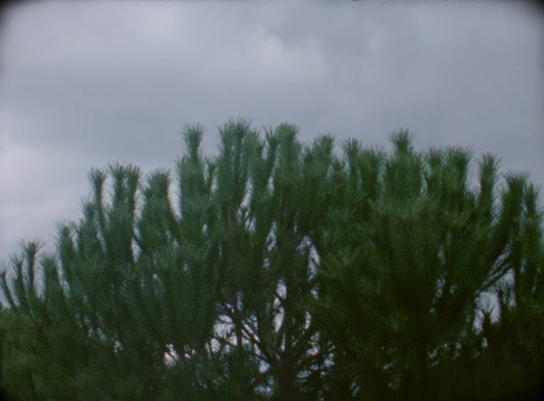 Role Model (2025) —  shot,  lighting