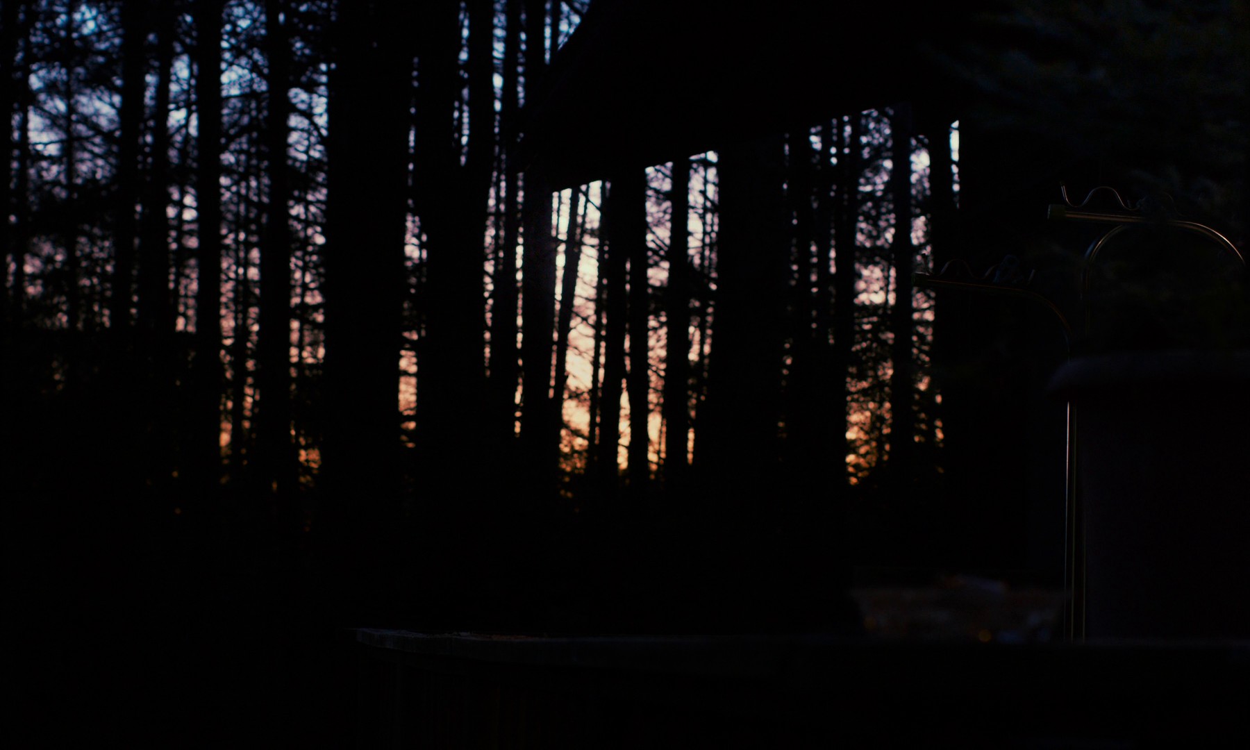 Evil Does Not Exist (2024) —  shot,  lighting