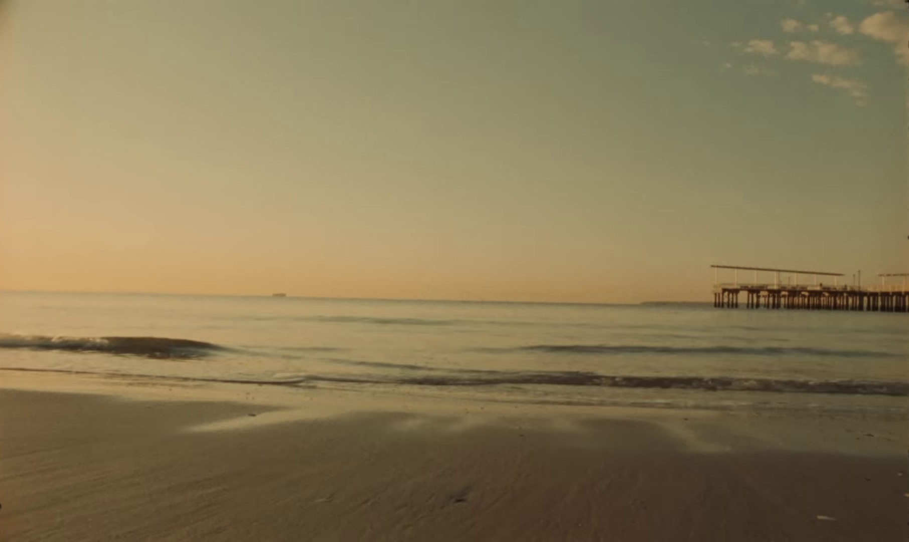 Jasmine (2023) —  shot,  lighting