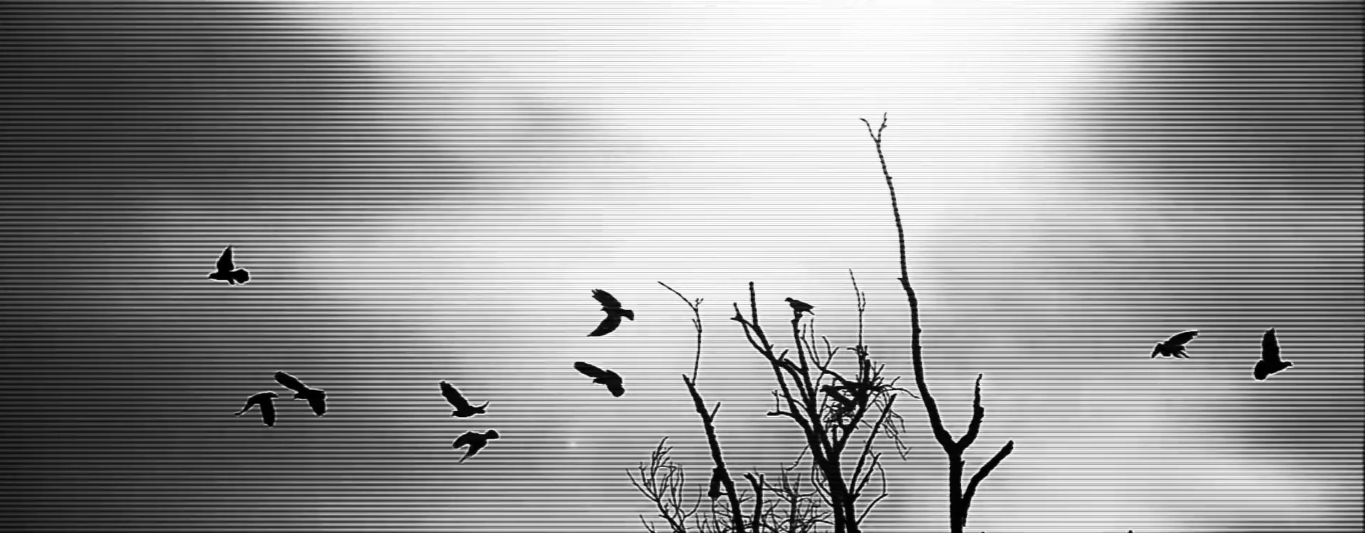 What Now  (2013) —  shot,  lighting