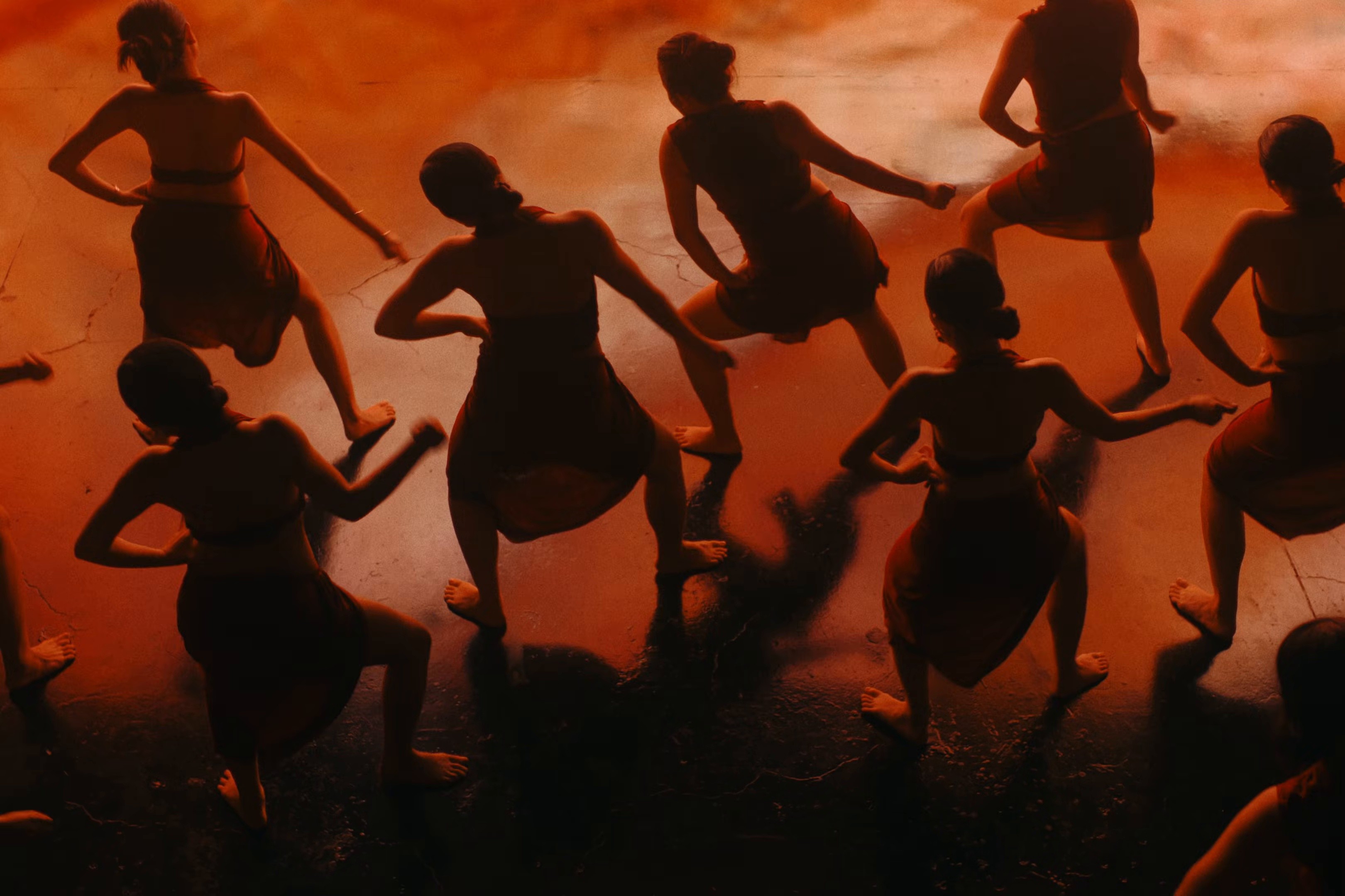 VƯỜN HỒNG (2025) —  shot,  lighting