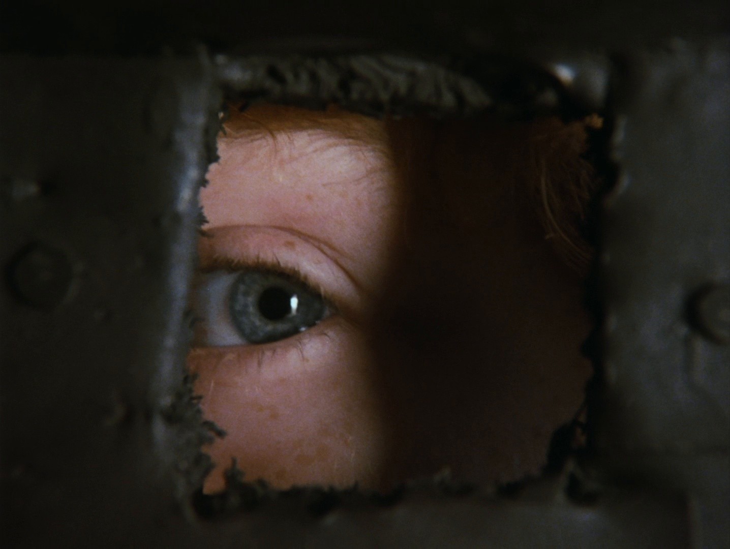 Pehavý Max a strasidlá (1987) —  shot,  lighting