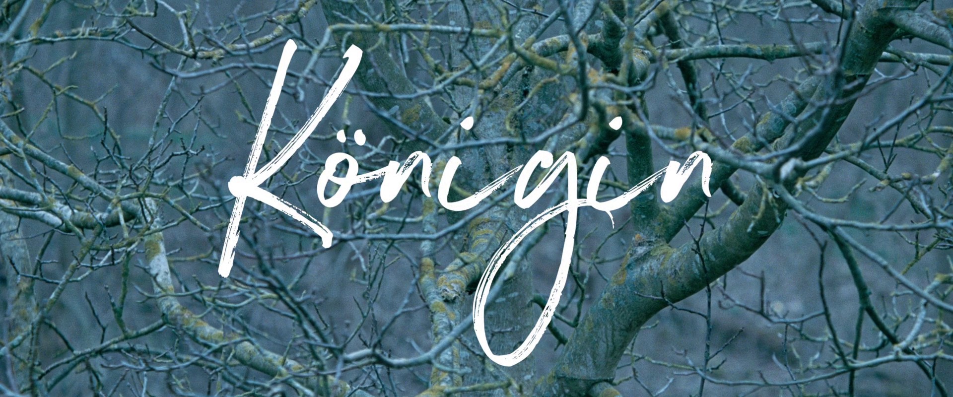 Queen of Hearts (2019) —  shot,  lighting