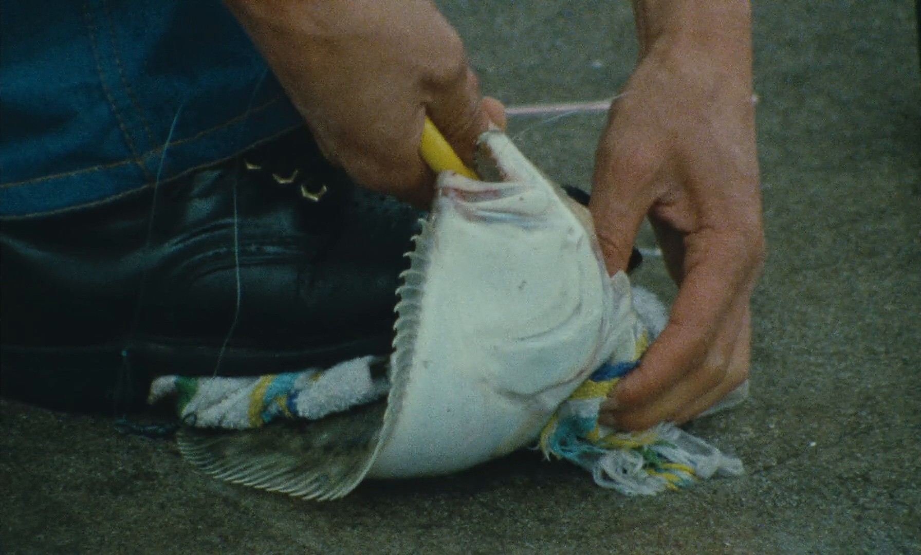 Documenteur (1982) —  shot,  lighting