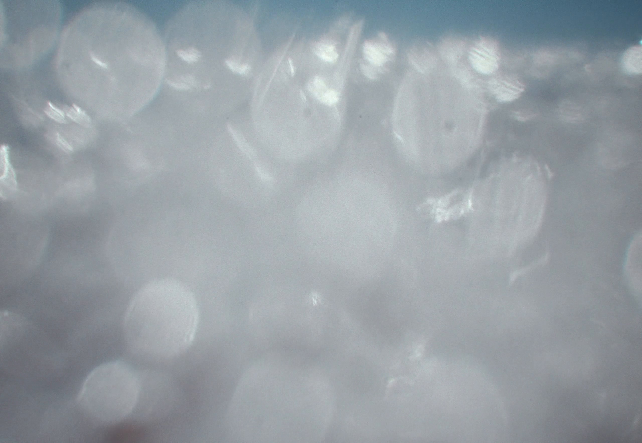 SRSA - More Than Just a Sea | Director's Cut (2024) —  shot,  lighting