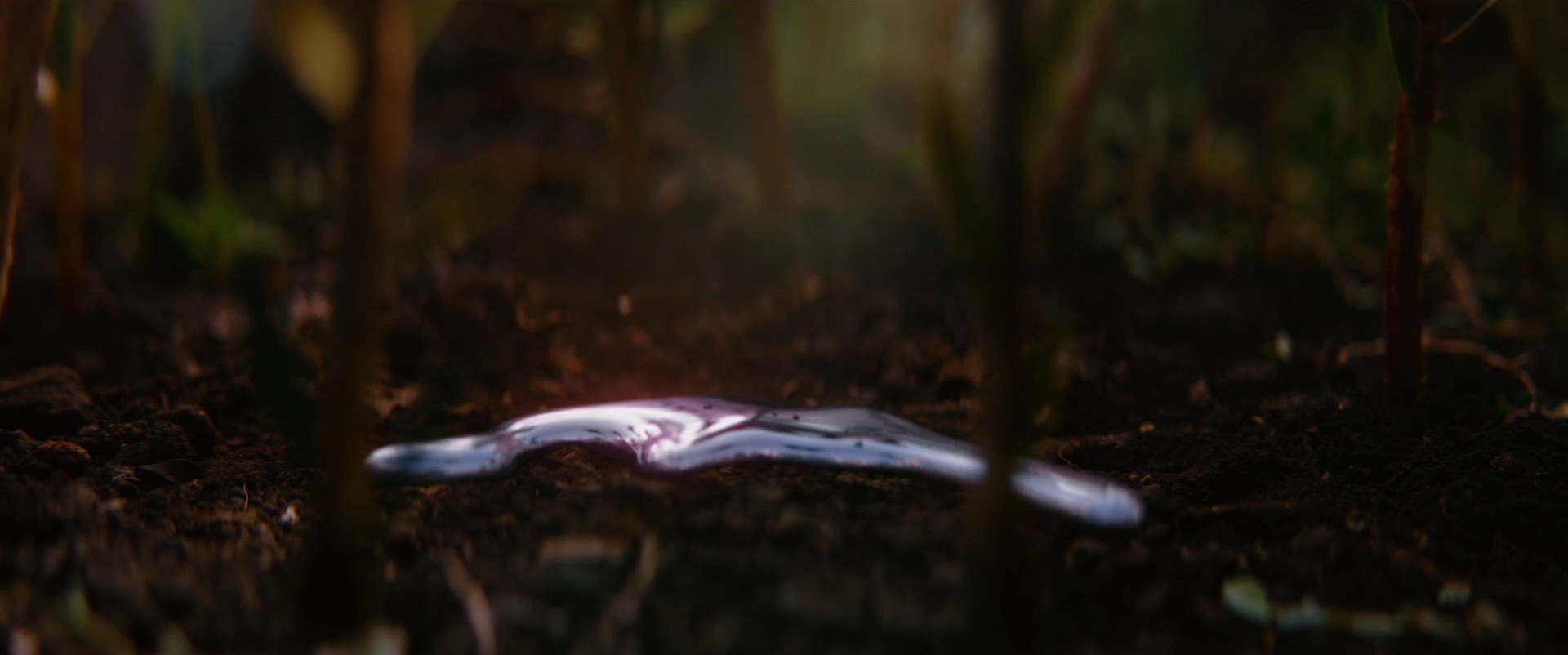 Polestar - Polestar 4 (2024) —  shot,  lighting