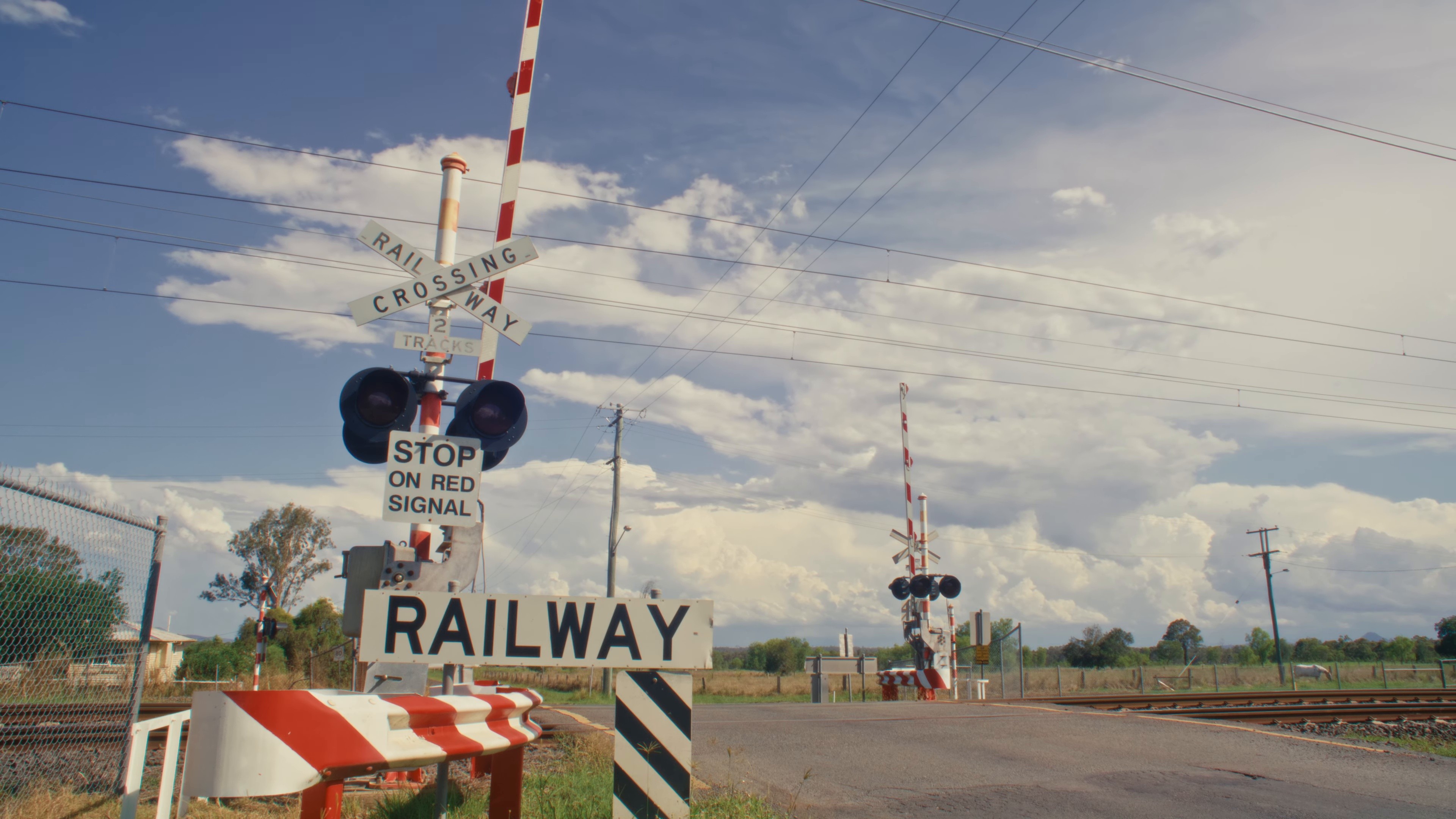 Horses (2024) —  shot,  lighting