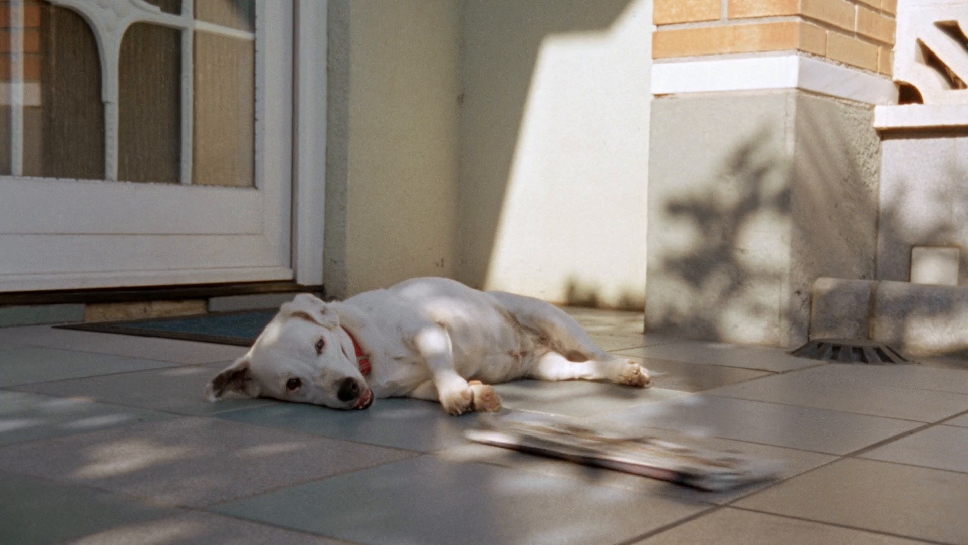 SPOTIFY - Rolling Stones (2023) —  shot,  lighting