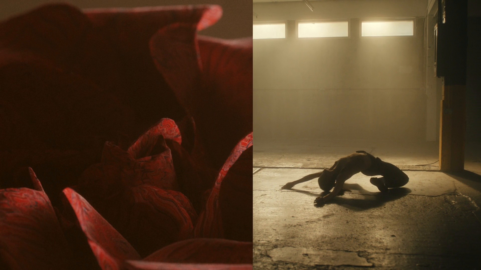 BITIS HUNTER - STREET X VIET MAX (2021) —  shot,  lighting