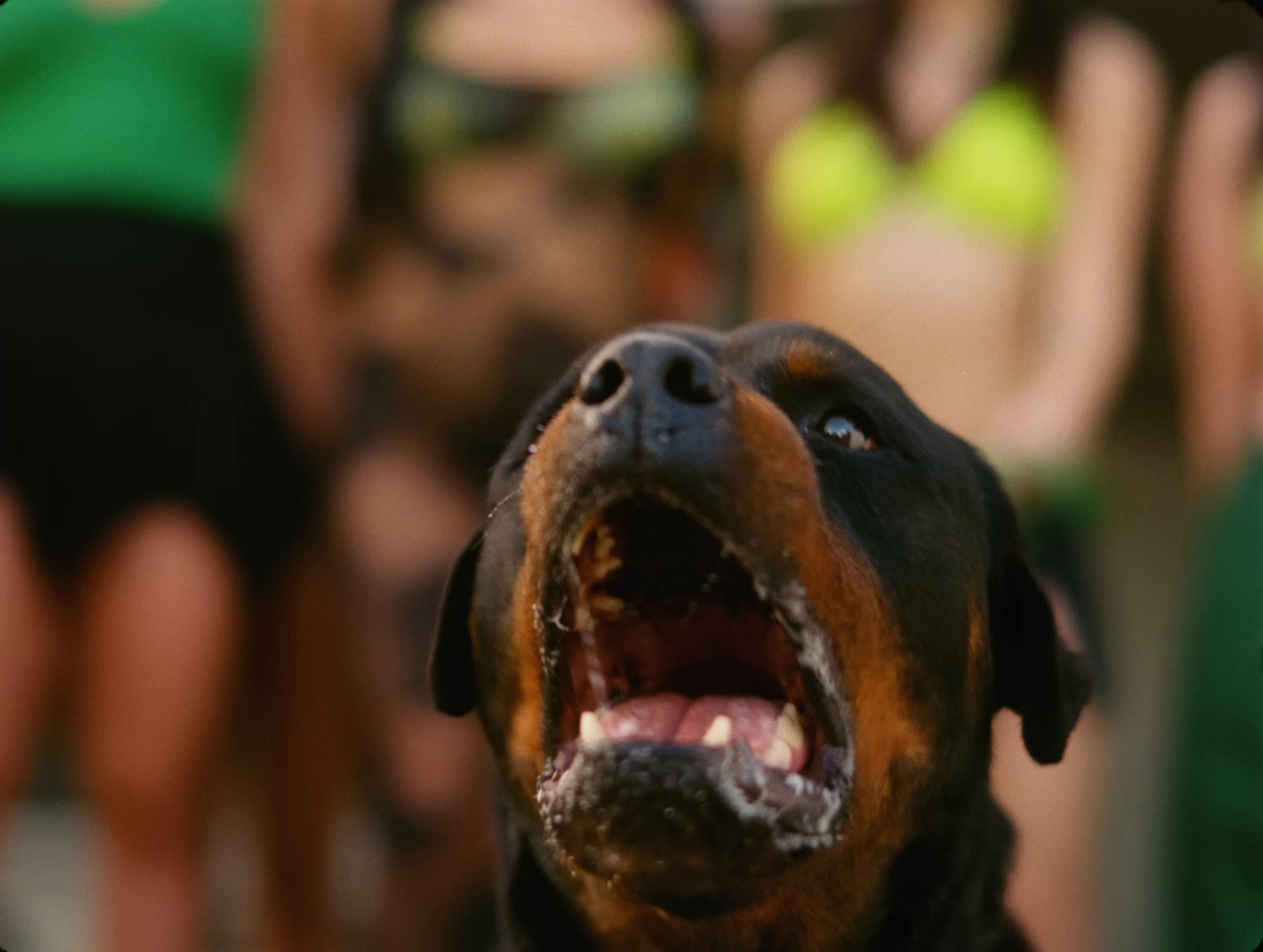 Alakran (2024) —  shot,  lighting