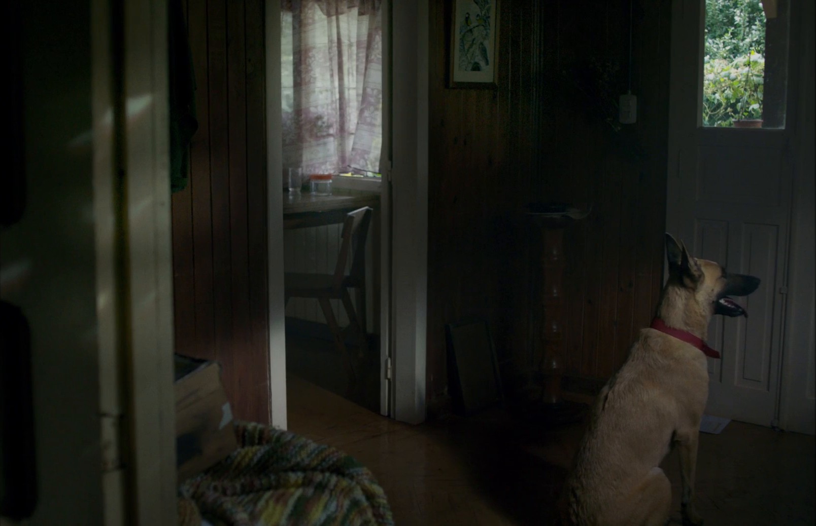 To Kill the Beast (2022) —  shot,  lighting