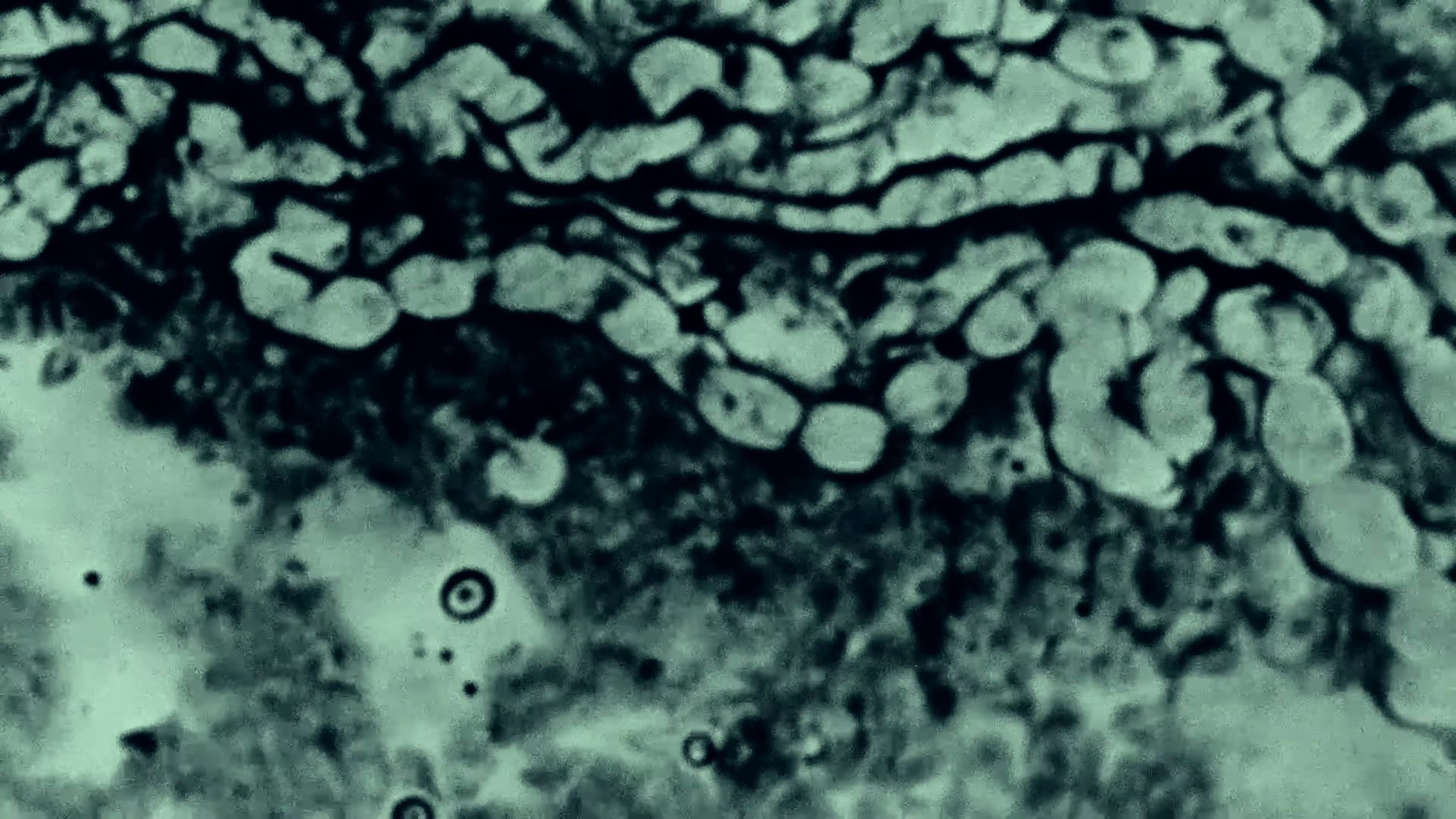 Hero (2025) —  shot,  lighting