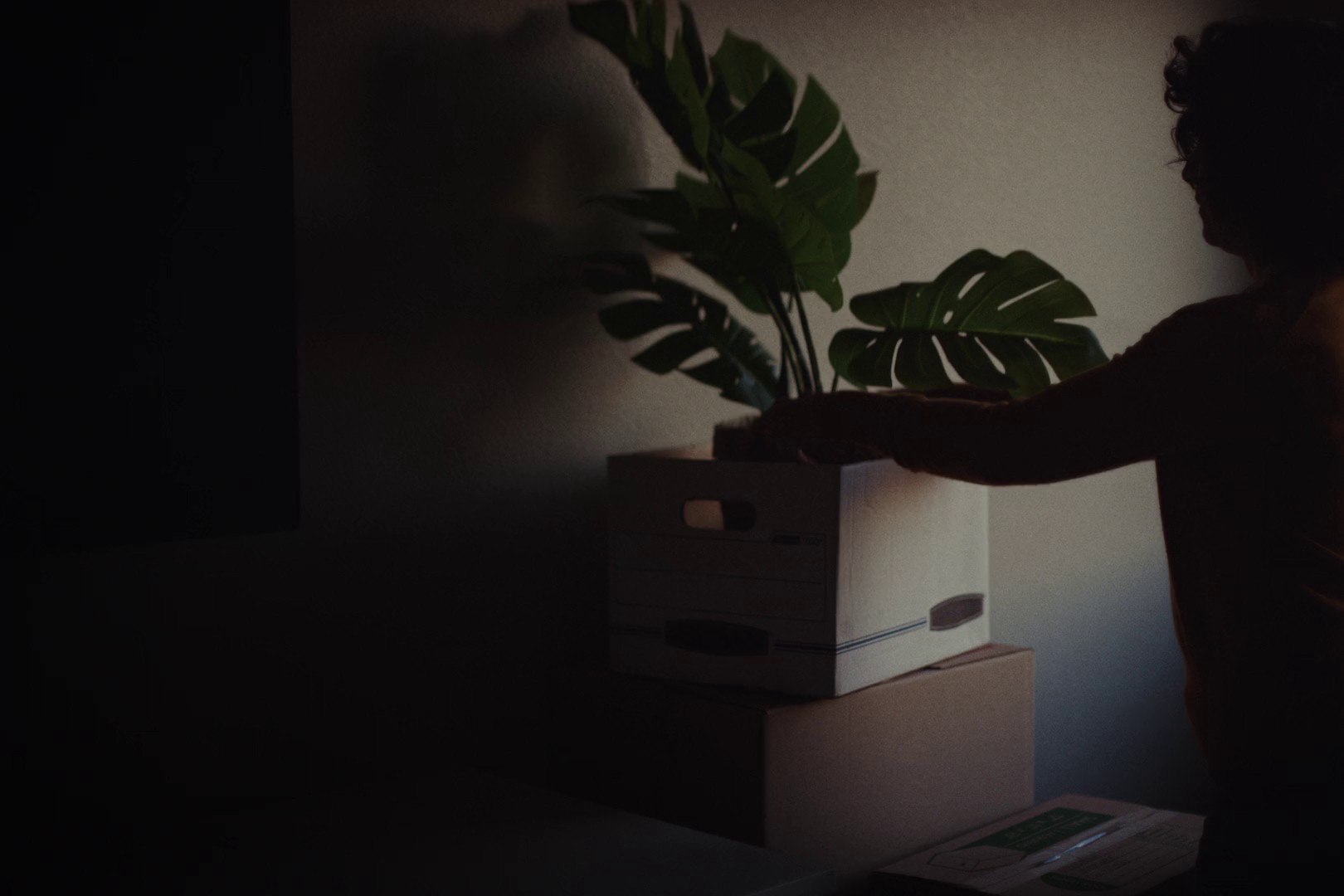 THAT FEELS LIKE HOME (2024) —  shot,  lighting