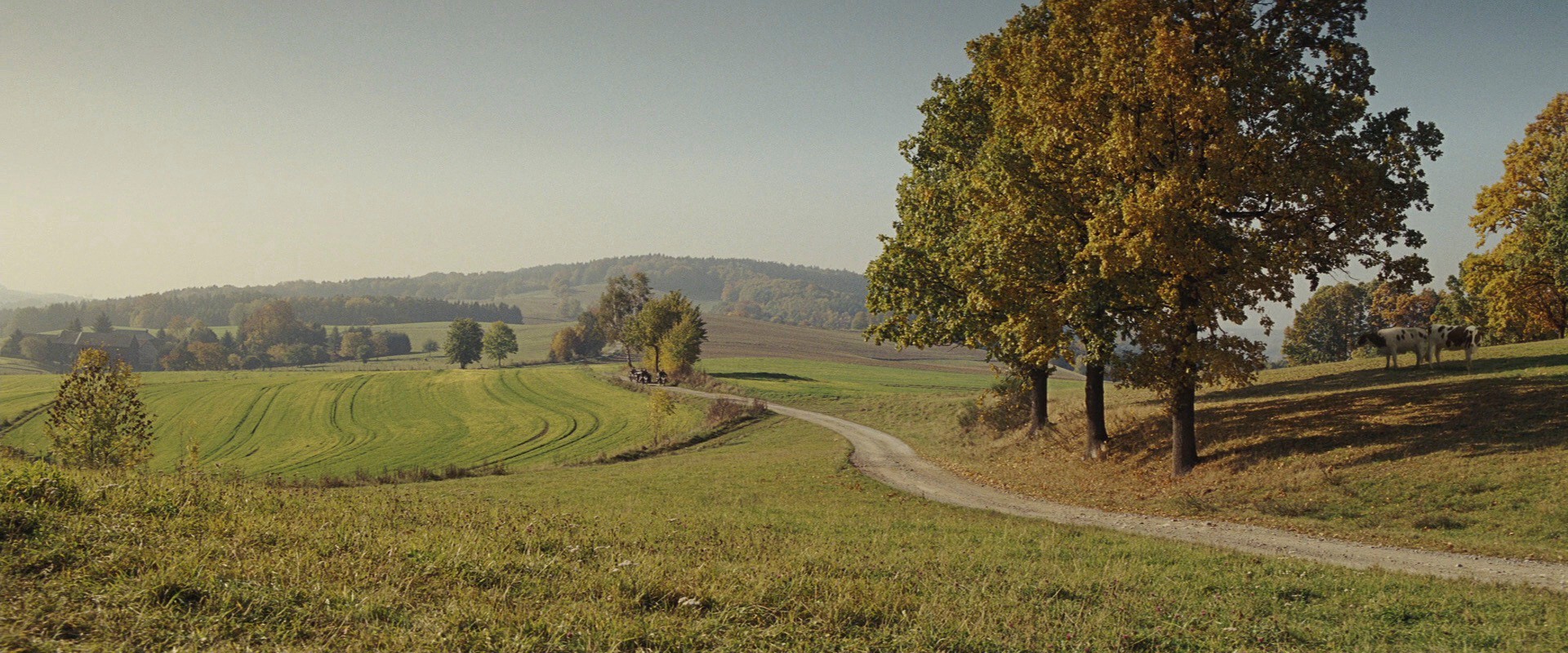 Inglourious Basterds (2009) —  shot,  lighting
